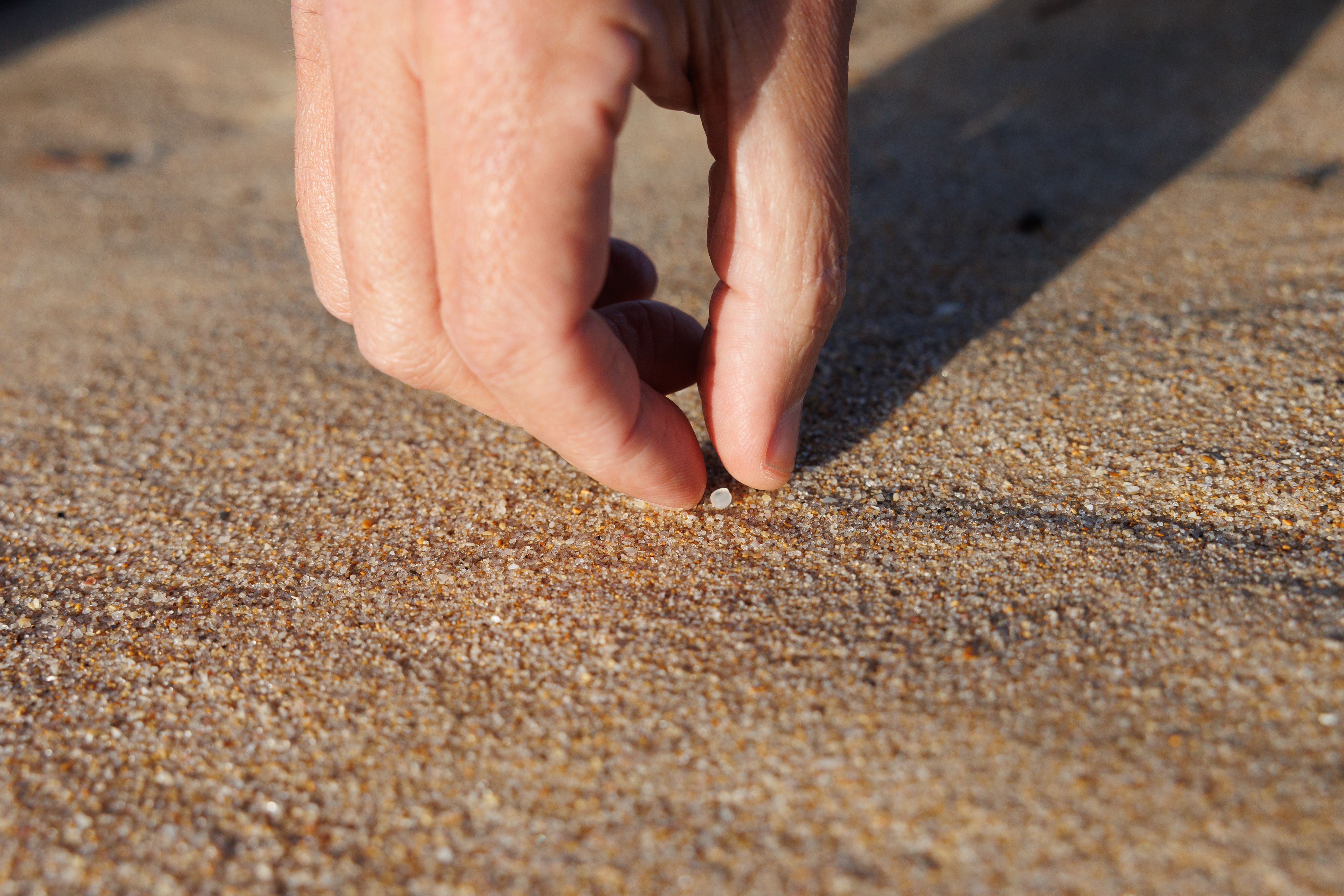 Pellets en la playa de Bolonia en una imagen reciente. 