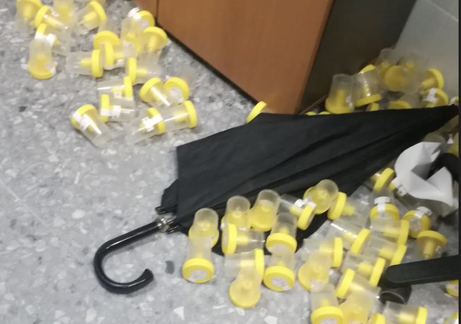 Botes desparramados en el centro de salud de San Benito tras la agresión verbal y los destrozos causados por una usuaria, este pasado jueves.