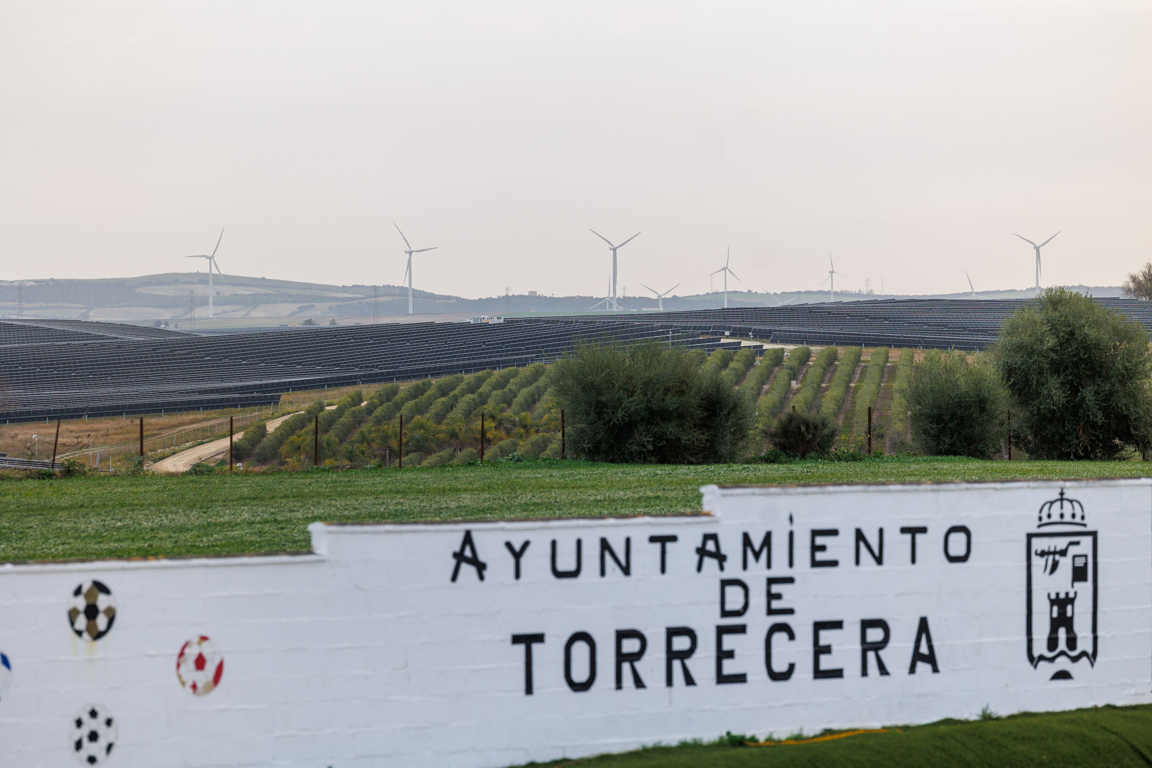 Imagen de Torrecera.