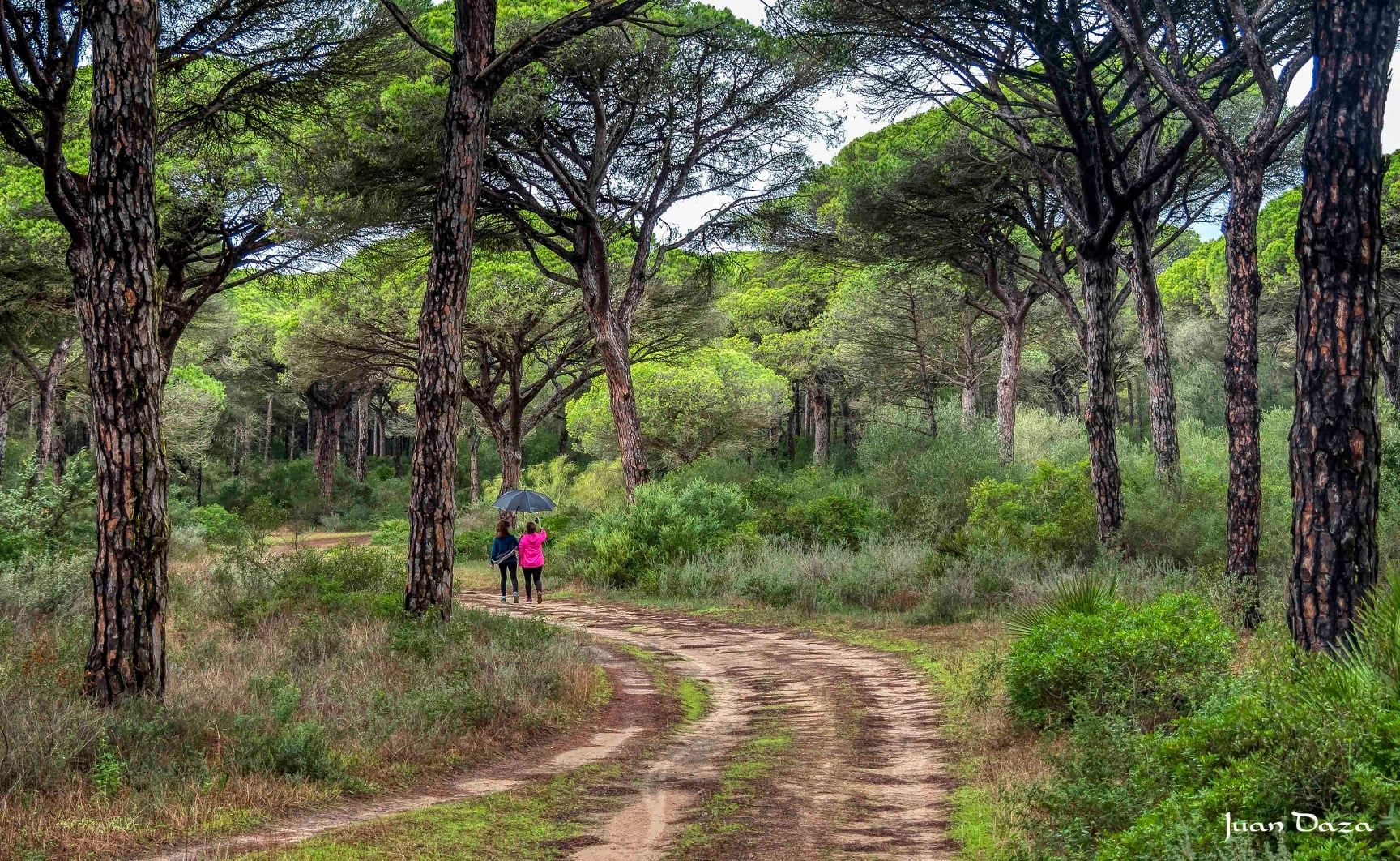 Sendero en el Parque Natural La Breña y las Marismas del Barbate, en una imagen de archivo.