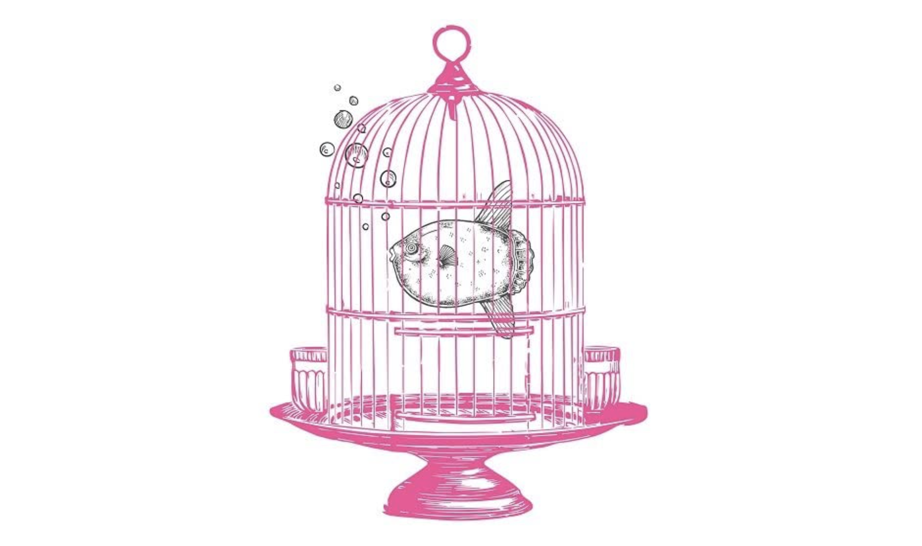 Portada del libro 'No es locura, es claridad' de Rosario Troncoso.