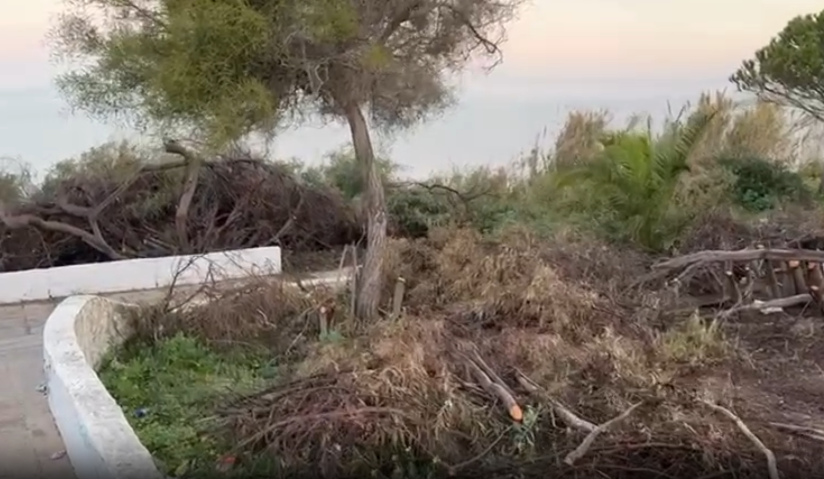 El cuerpo sin vida del hombre apareció en la zona de La Jara de Sanlúcar.