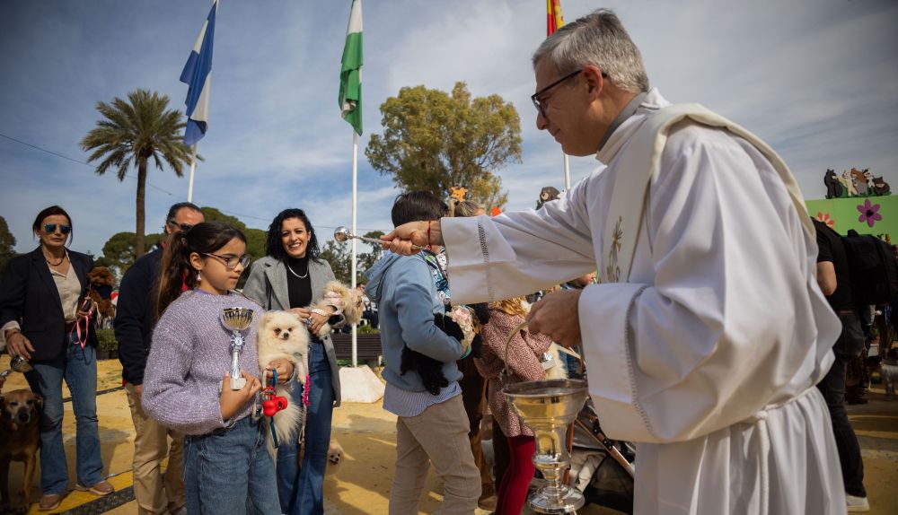 Las imágenes de la bendición de los animales de Jerez.