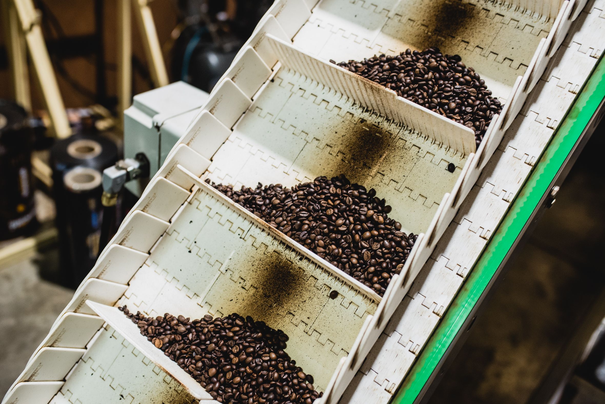 SEVILLA MOCAIBO UTRERA SEVILLA 13