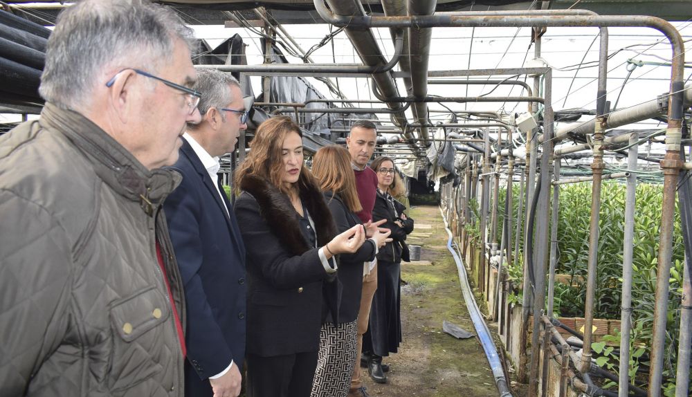 Visita del alcalde a Rosas de Sevilla que ha cumplido su 50 aniversario (1)