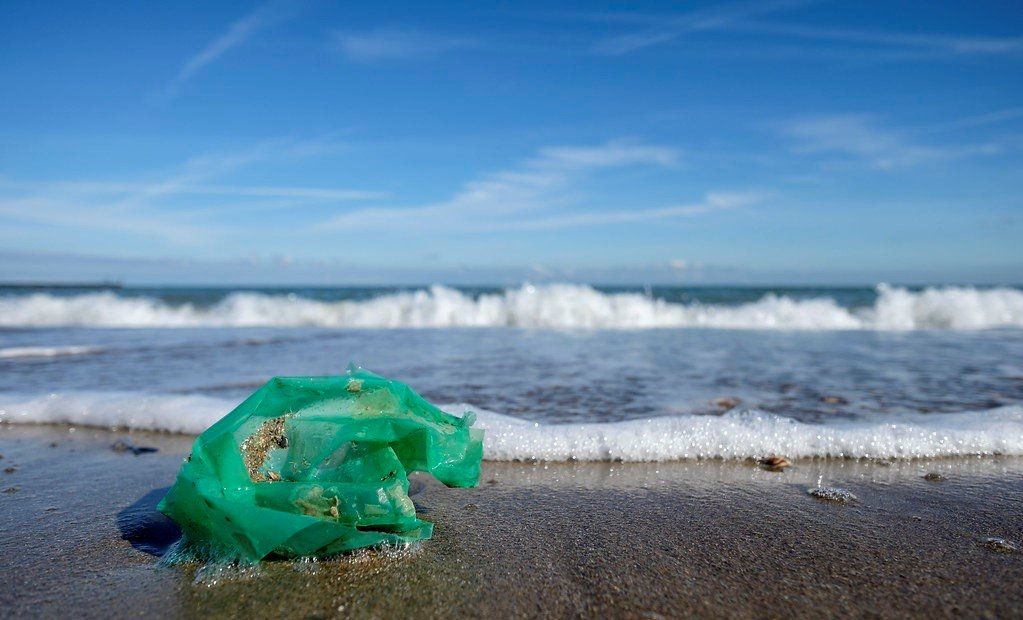 Una bolsa de plástico en la orilla de la playa - WOUTER DE BRUIJN