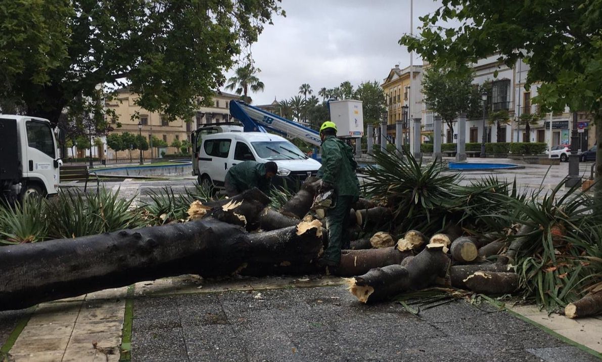 Daños por el temporal en el Mamelón.