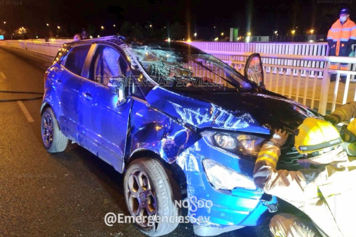Estado en el que quedó el vehículo tras el suceso. FOTO: Emergencias Sevilla