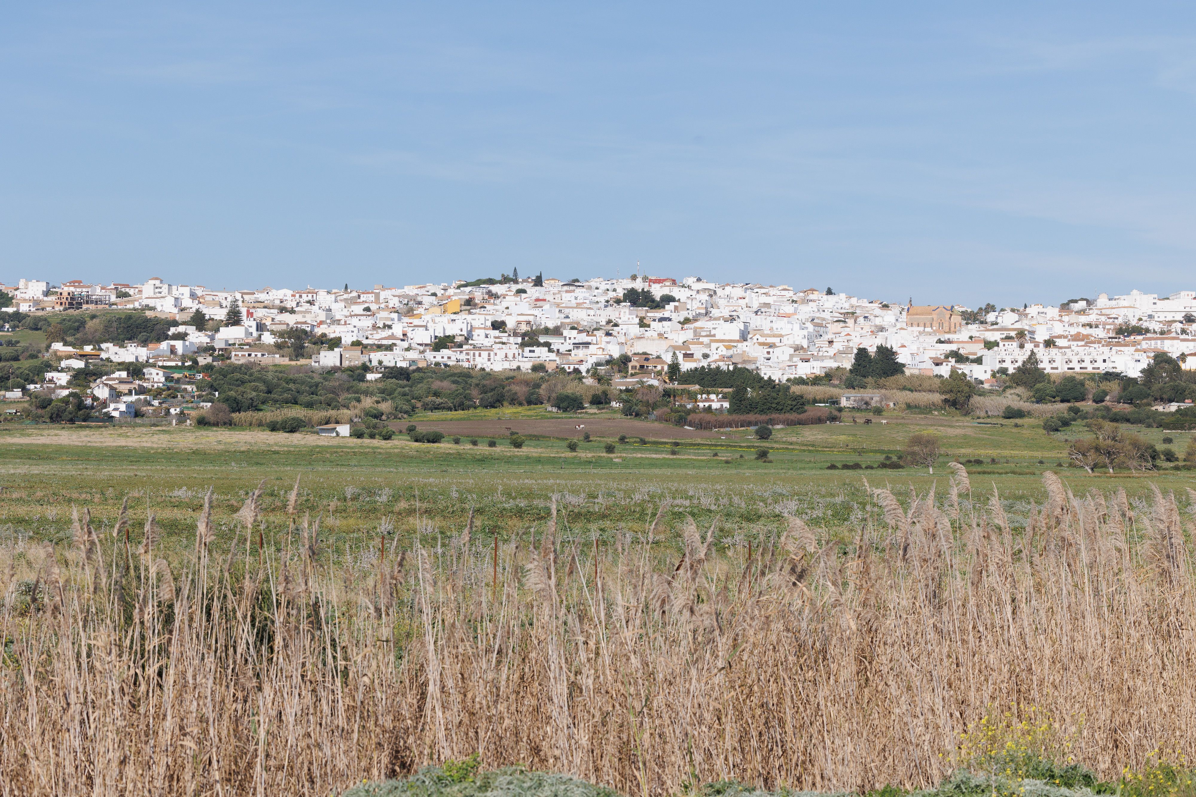 Benalup, uno de los municipios de la Janda, que tendrá su propio cupón de la ONCE. Benalup, uno de los municipios de la Janda, que tendrá su propio cupón de la ONCE.