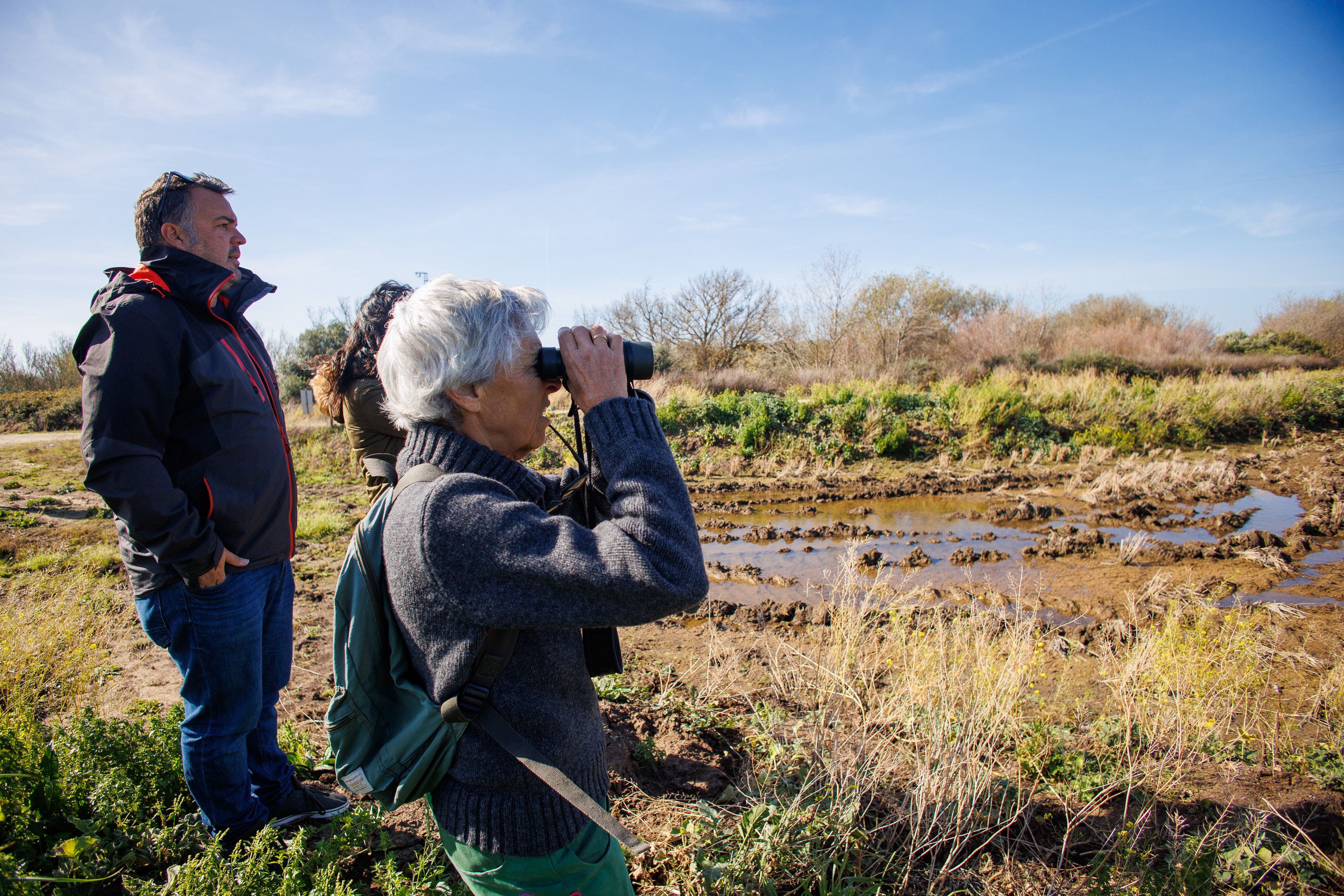 El entorno de la laguna de la Janda. El entorno de la laguna de la Janda.