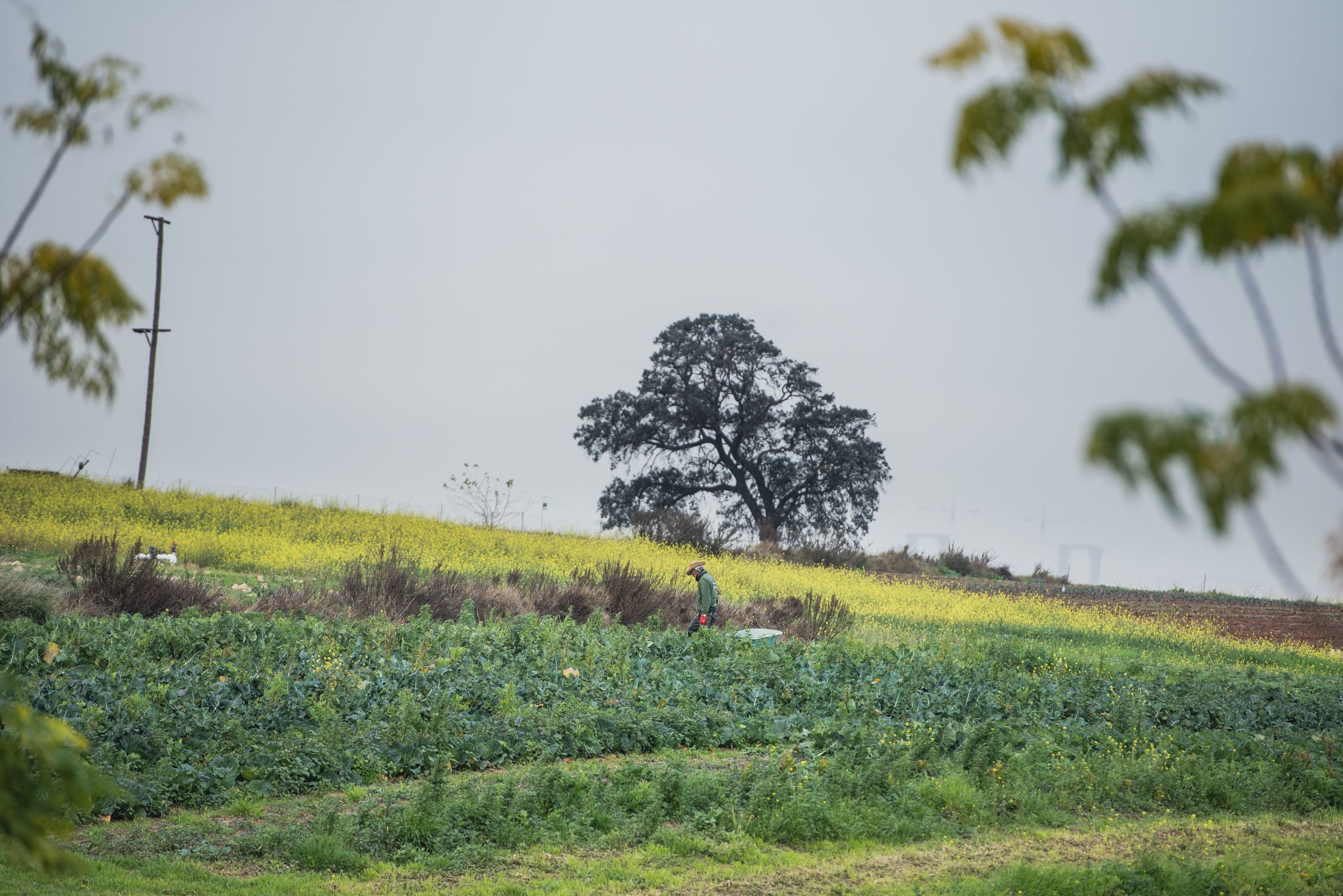 BioAlverde, la empresa ecológica y solidaria de Dos Hermanas