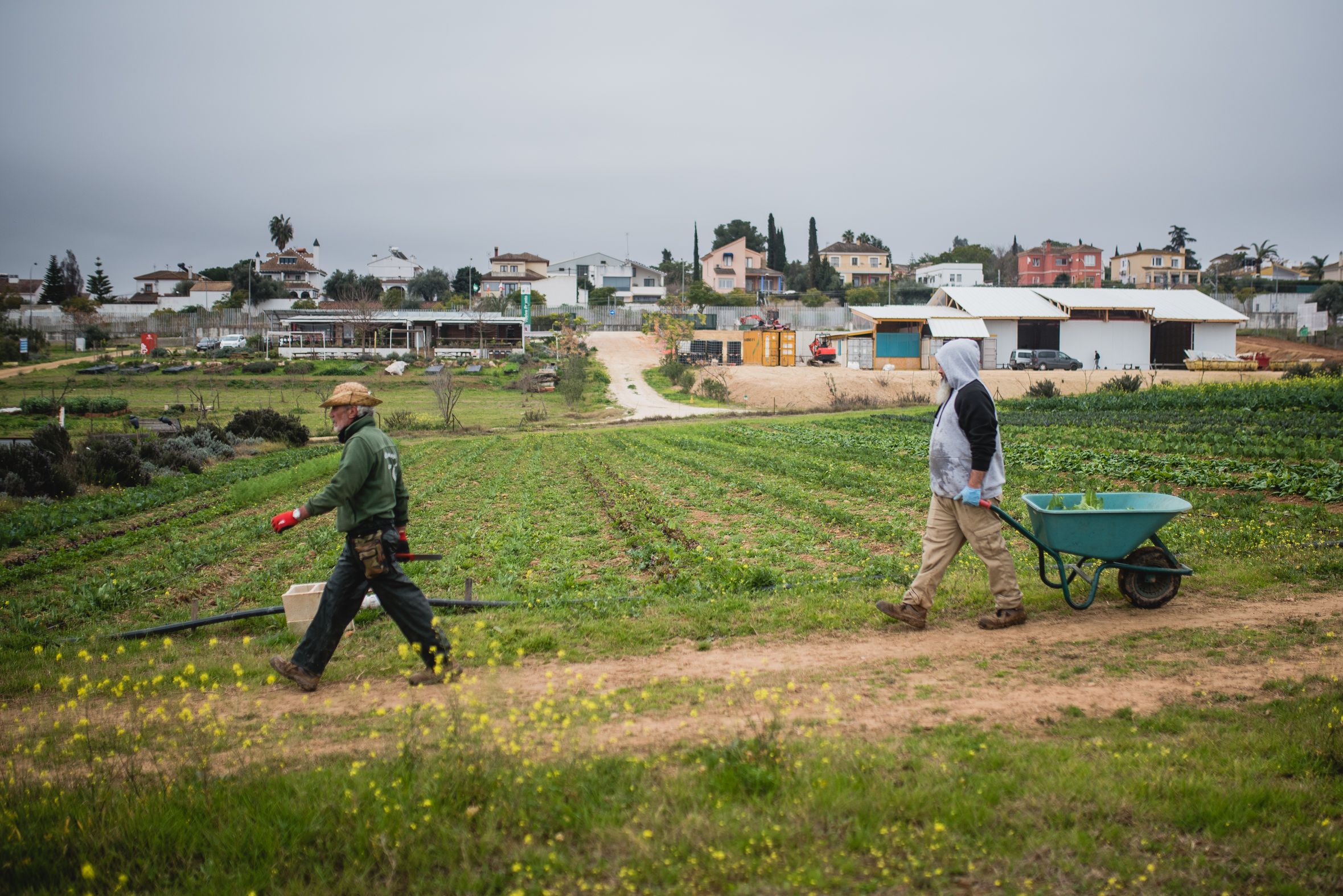 BioAlverde, la empresa ecológica y solidaria de Dos Hermanas