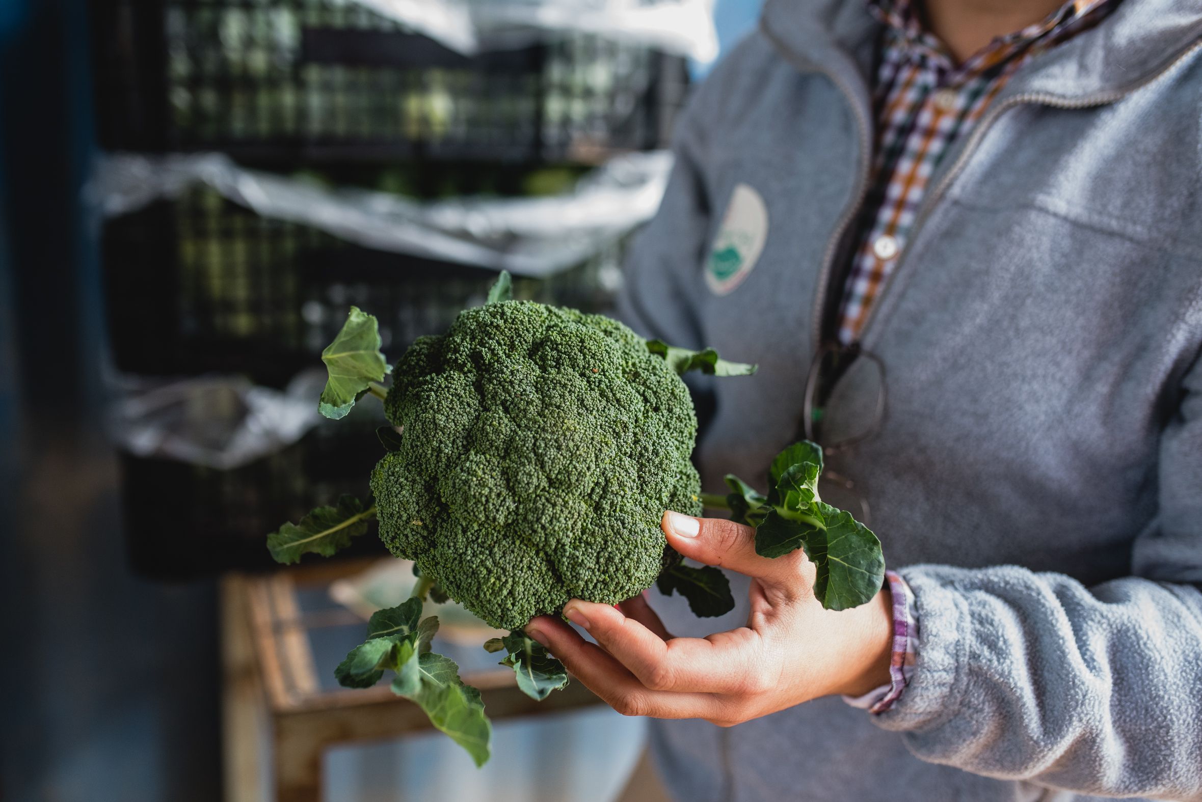 BioAlverde, la empresa ecológica y solidaria de Dos Hermanas