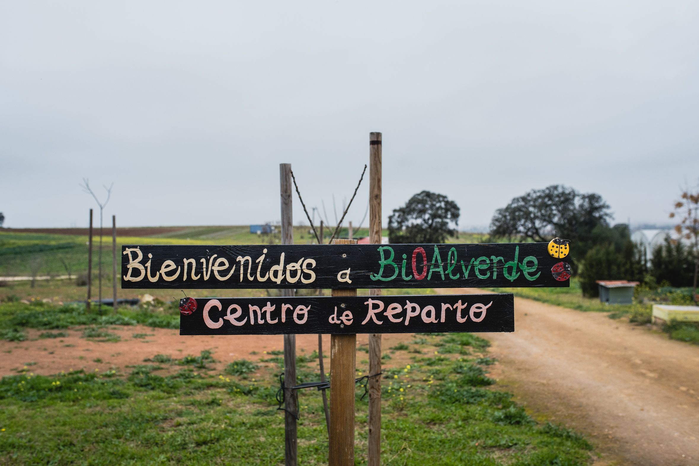 BioAlverde, la empresa ecológica y solidaria de Dos Hermanas