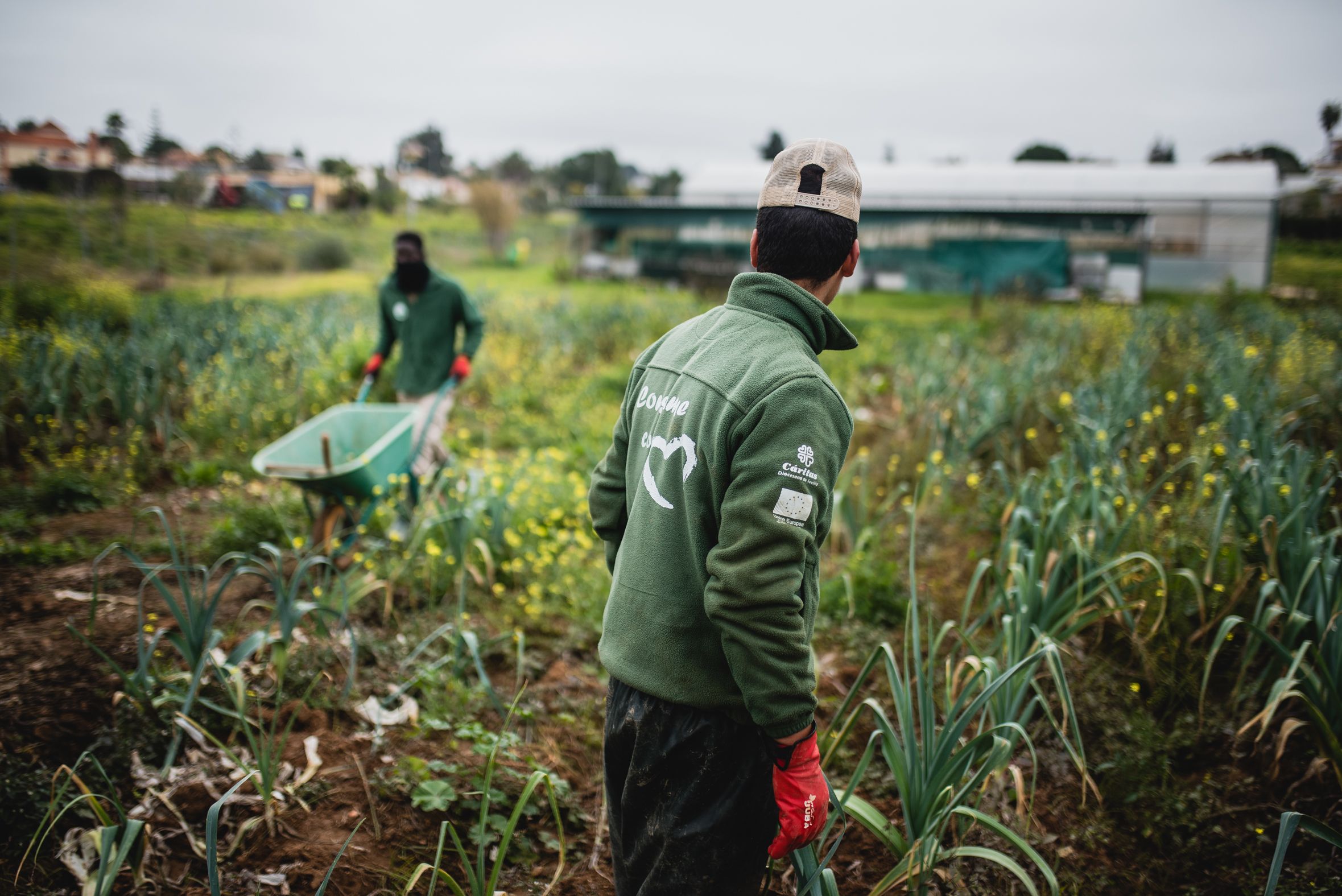 Dos trabajadores en BioAlverde, en Dos Hermanas.