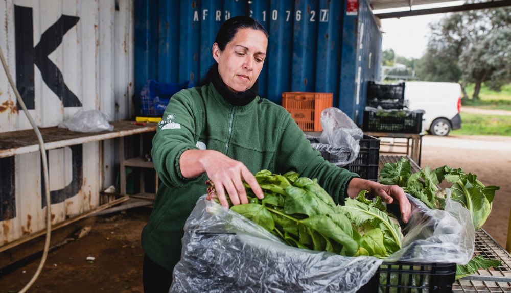 BioAlverde, la empresa ecológica y solidaria de Dos Hermanas