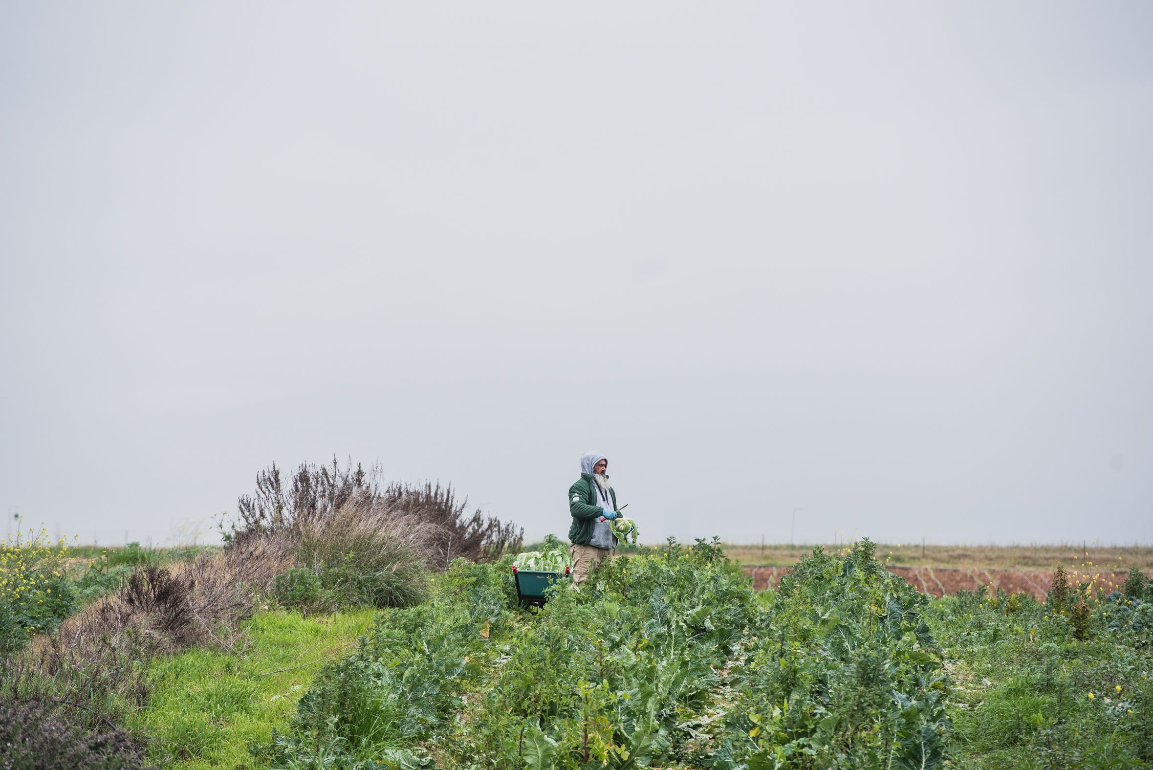 BioAlverde, la empresa ecológica y solidaria de Dos Hermanas