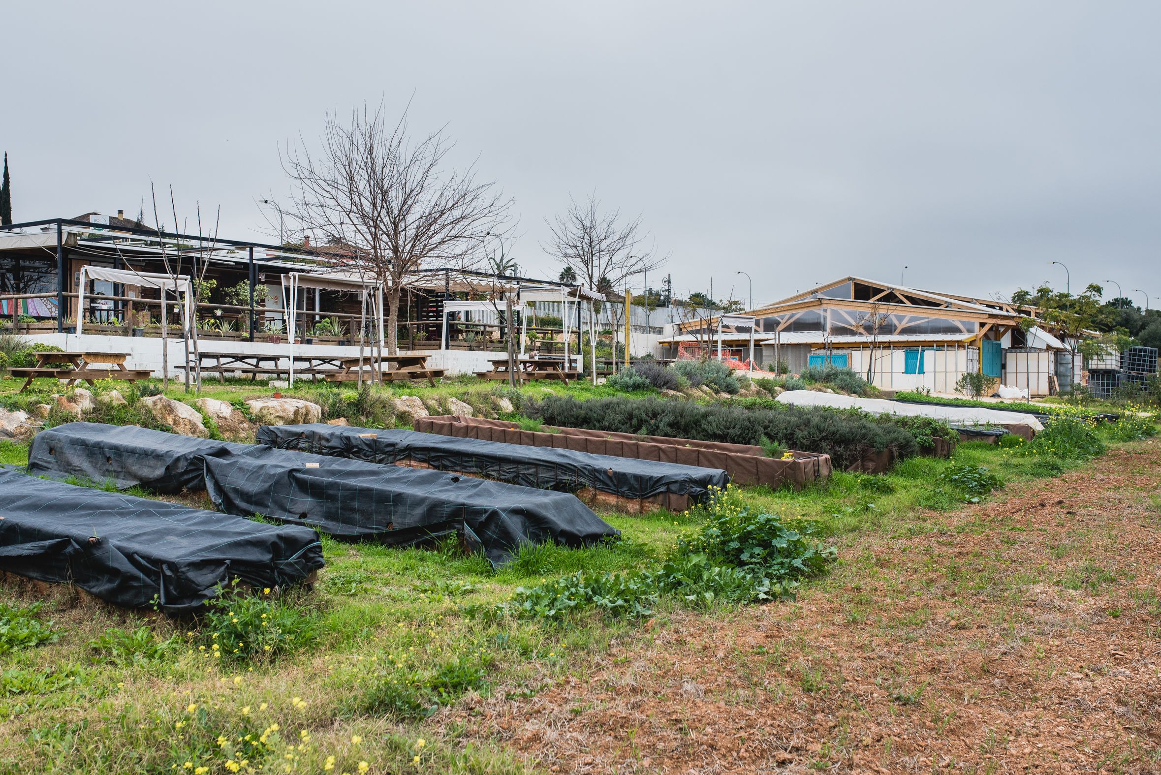 BioAlverde, la empresa ecológica y solidaria de Dos Hermanas