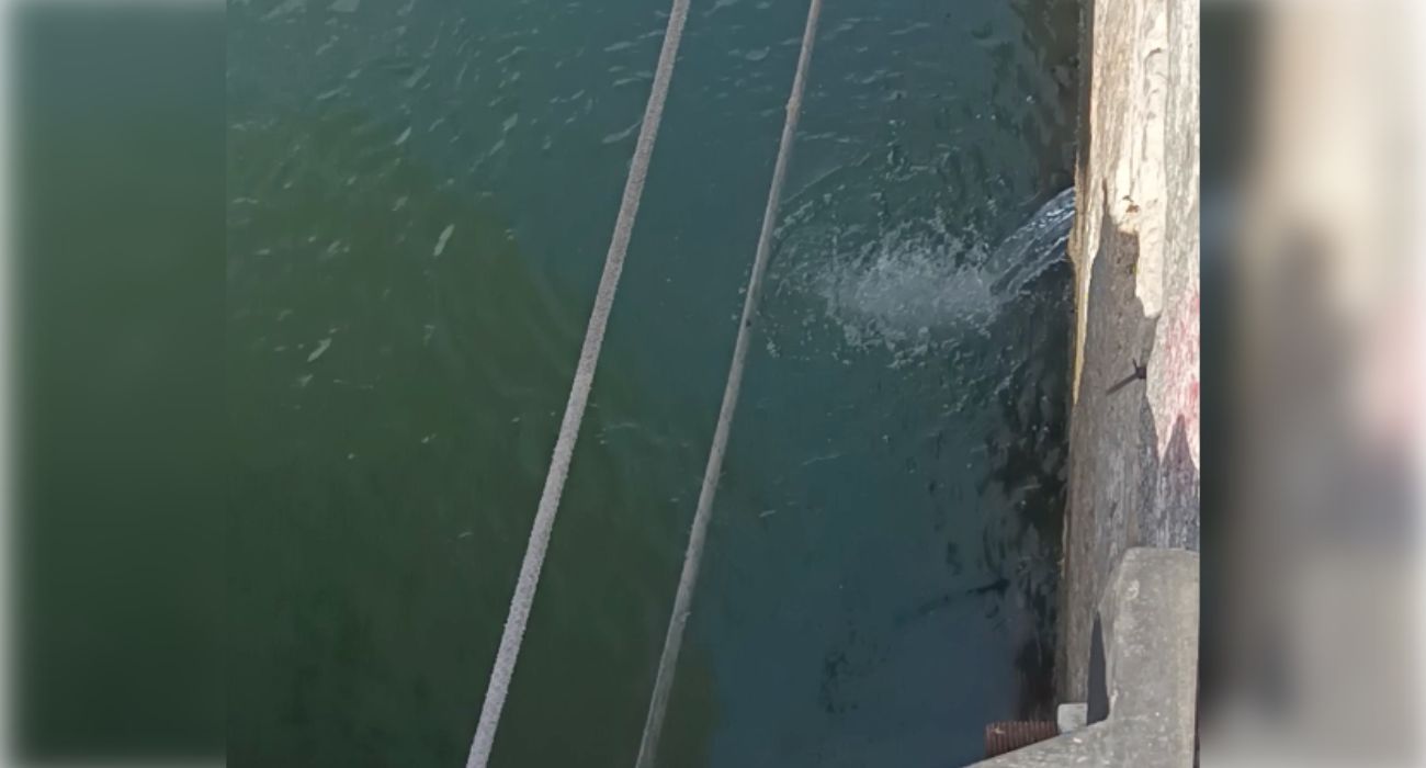 El caño, situado en el puerto de Barbate, que vierte millones de litros de agua dulce al mar. 
