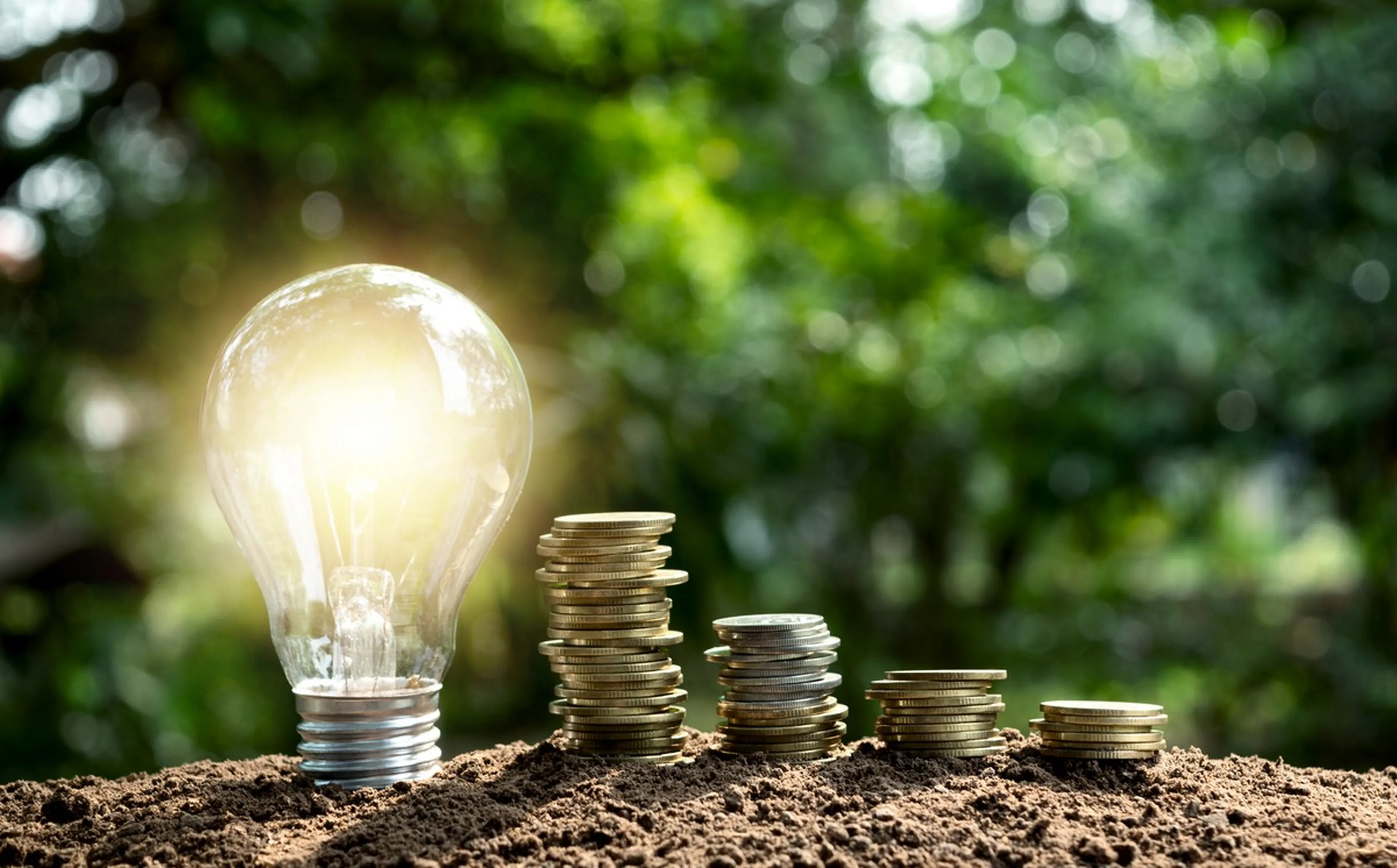 Consumo de luz y facturación mensual. 