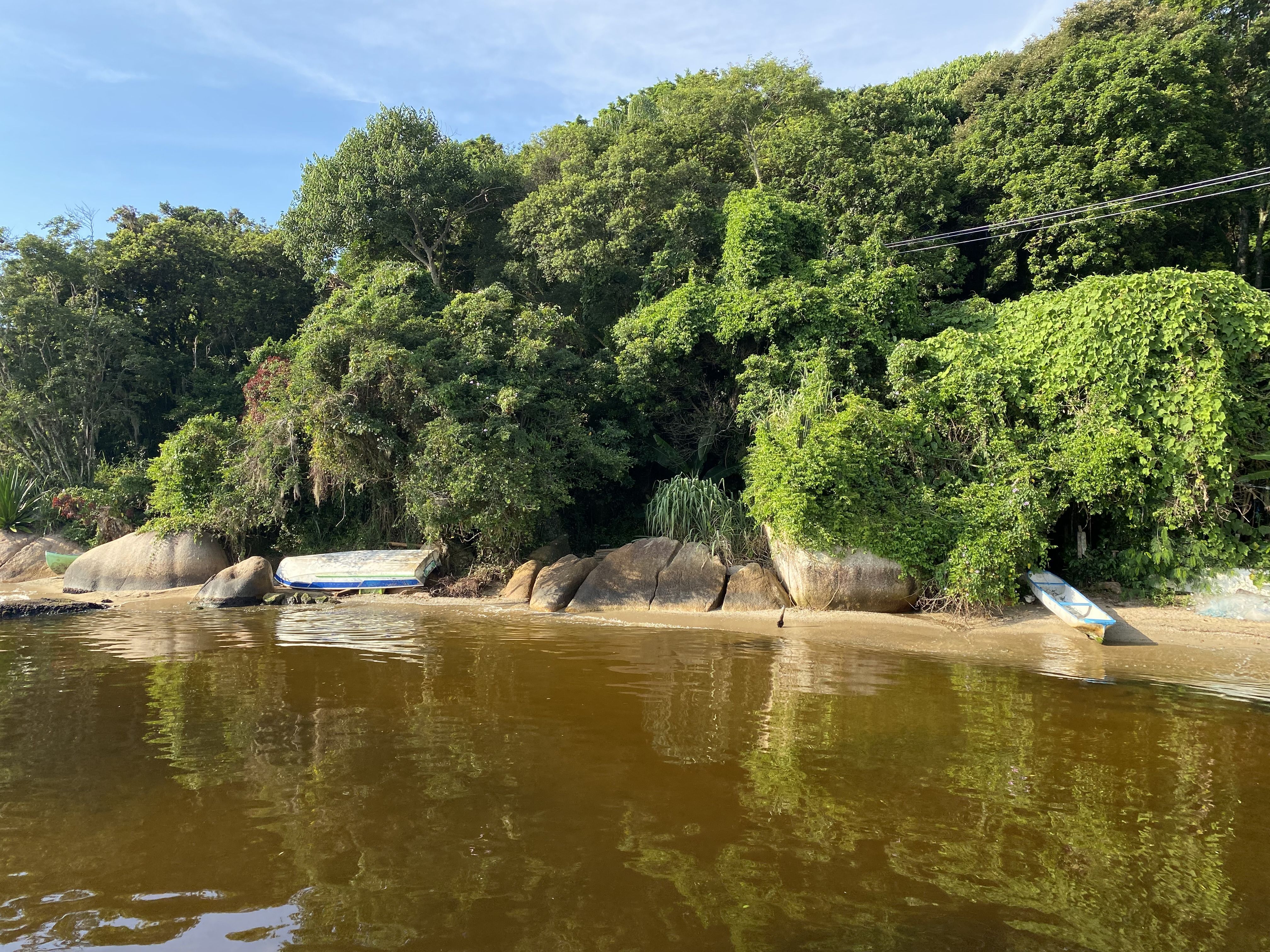La selva en Lagoa, Brasil.