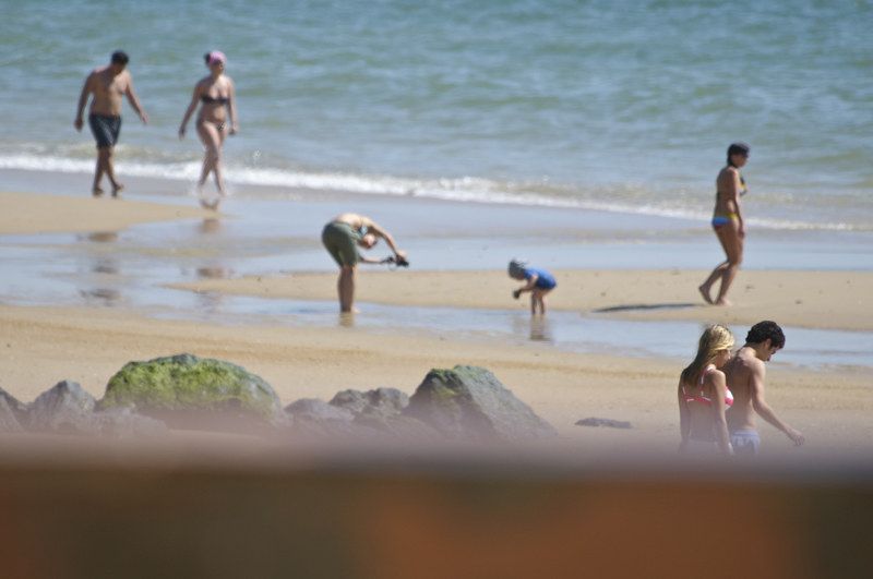 Playa de Matalascañas, en una imagen de archivo. FOTO: ALFONSO YUS