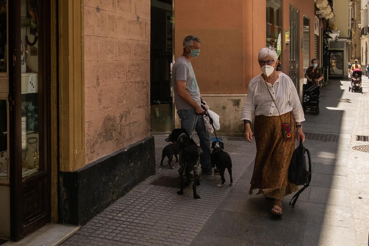 Una persona pasea sus perros en Cádiz durante la pandemia. FOTO: MANU GARCÍA