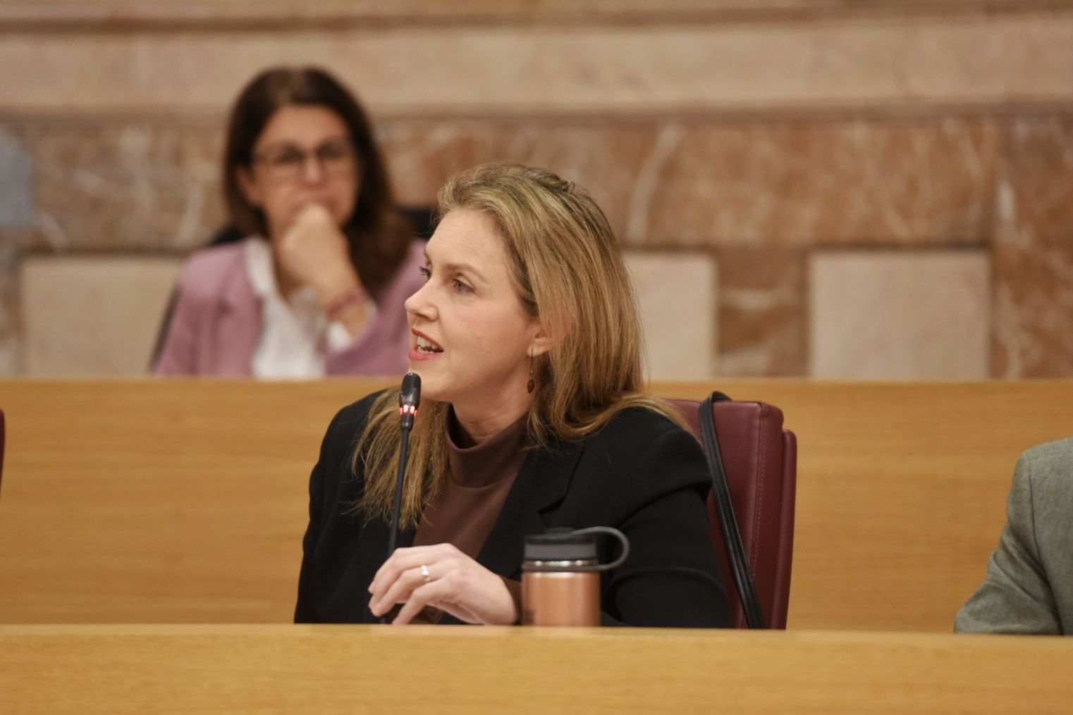 Pleno Extraordinario Sevilla 006 CRISTINA PELAEZ