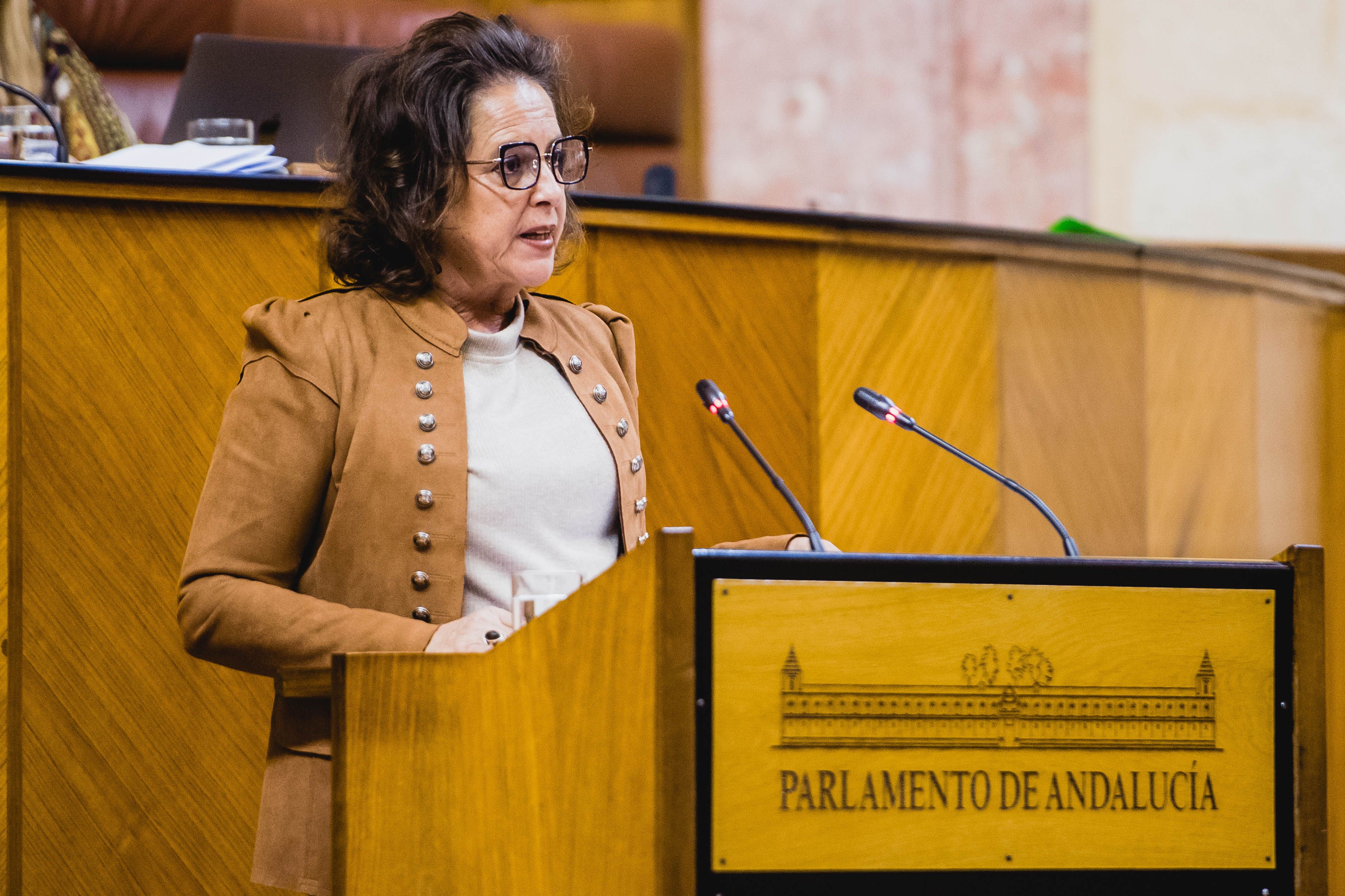 Catalina García, consejera de Salud y responsable del SAS, durante una intervención en el Parlamento andaluz.