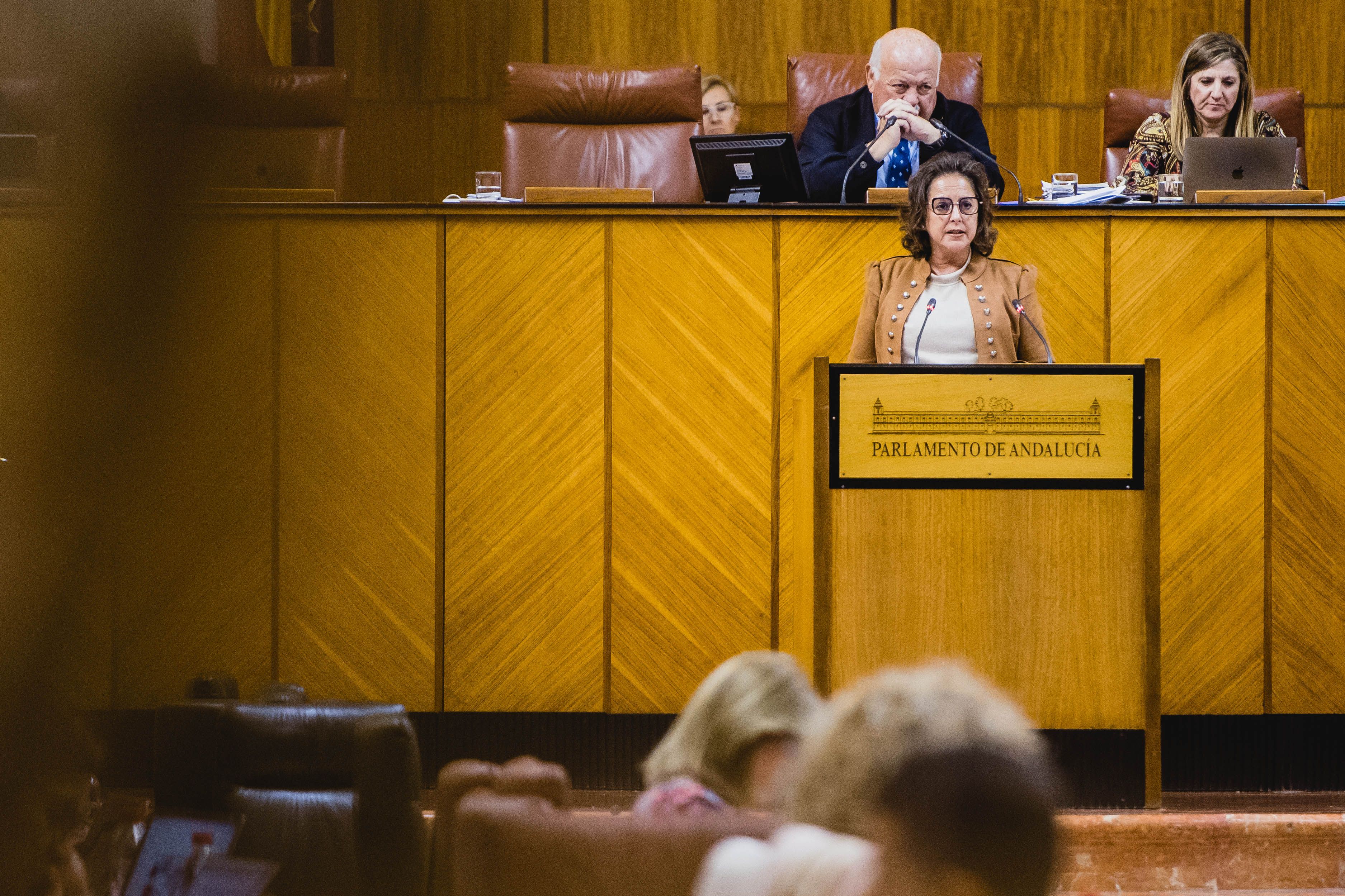 Catalina García, consejera de Salud. Los sindicatos piden su dimisión.