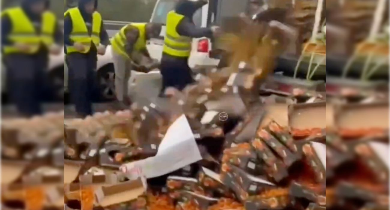 Parte de la carga de tomates de Marruecos, tirada en el suelo de la AP-4 en Jerez.   SOCIAL DRIVE