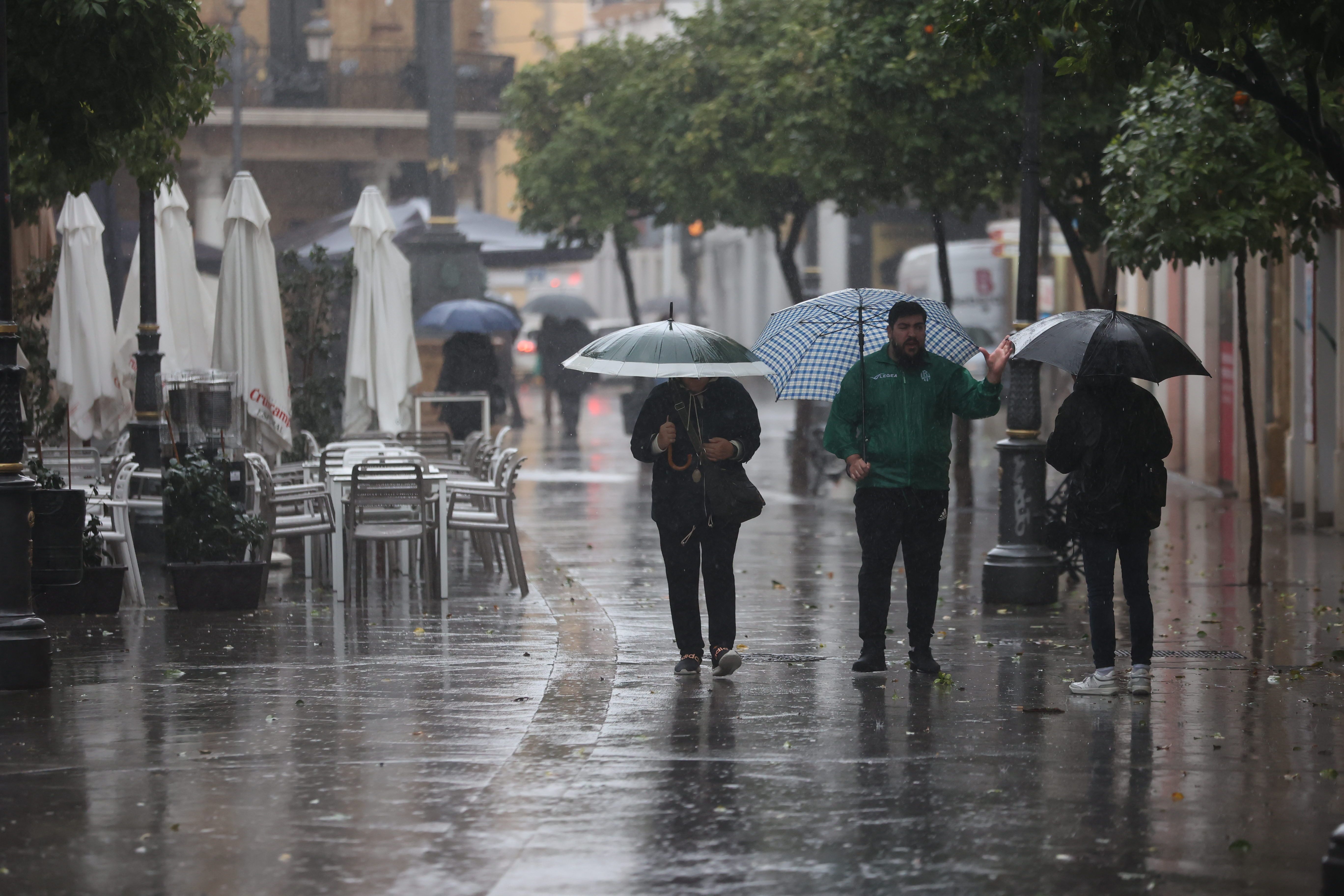 La lluvia provocada por la borrasca 'Karlotta' ya se ha notado en Jerez.