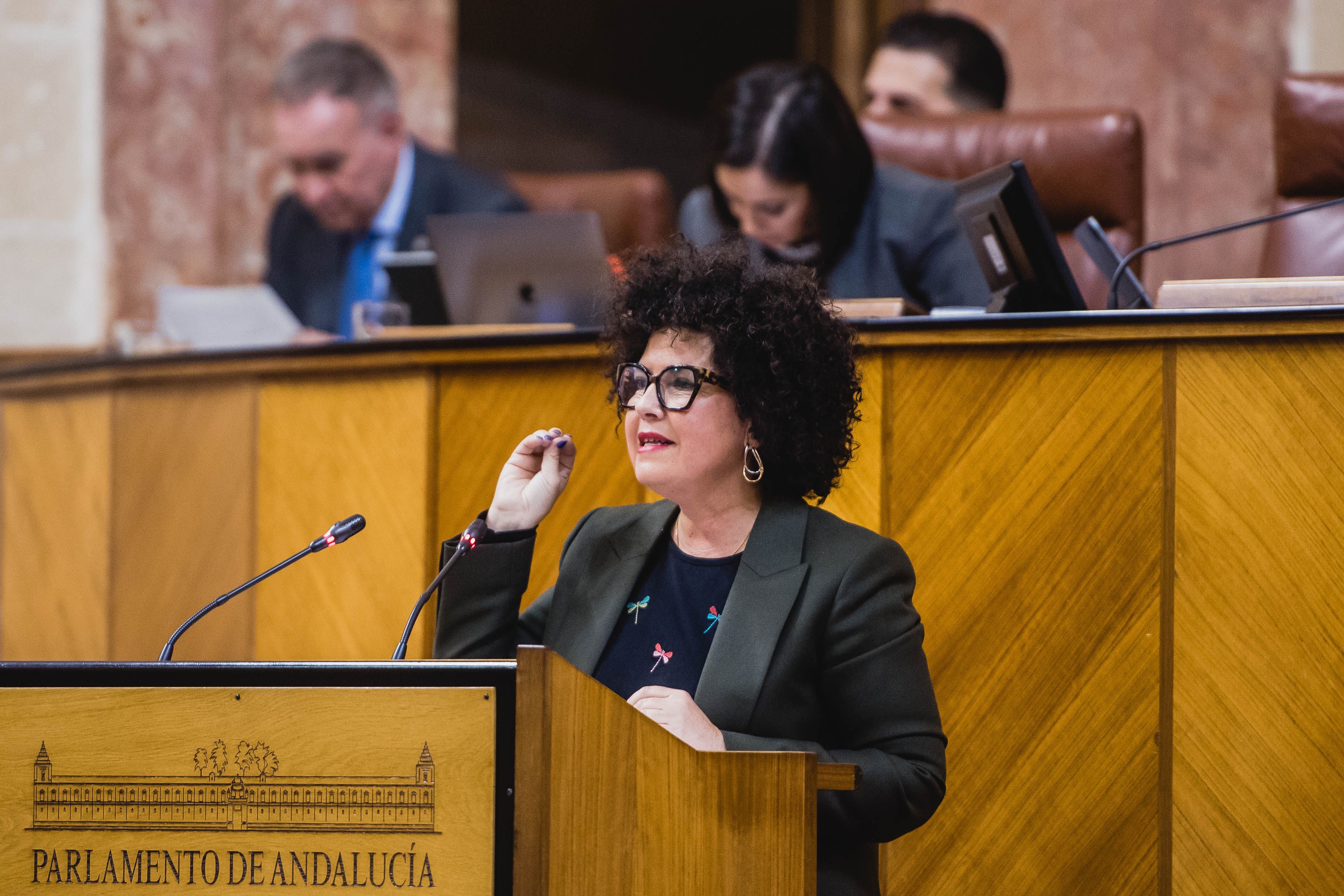 Maribel Mora, una de las diputadas de la formación, en el Parlamento andaluz.