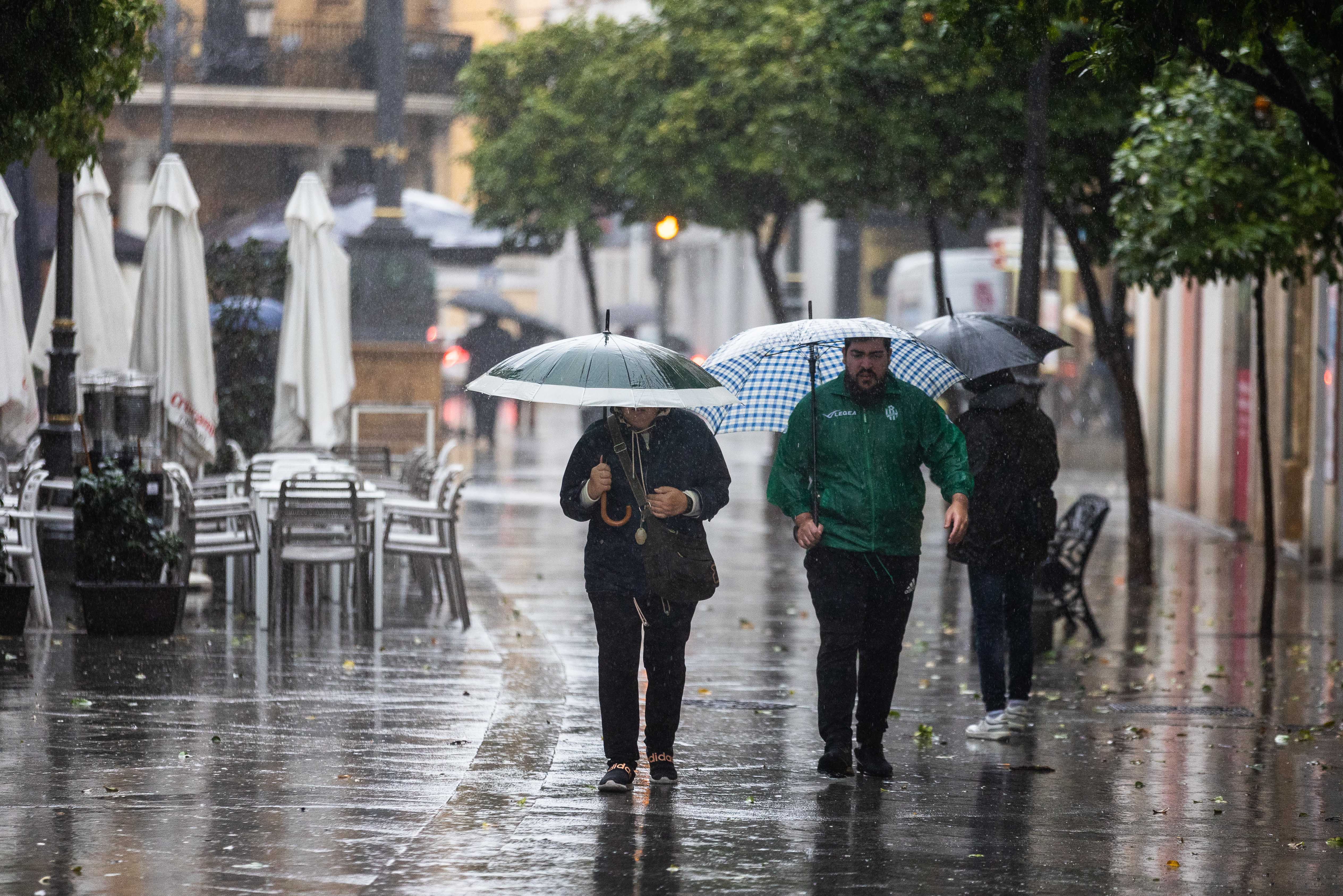 Lluvia en Jerez durante febrero.