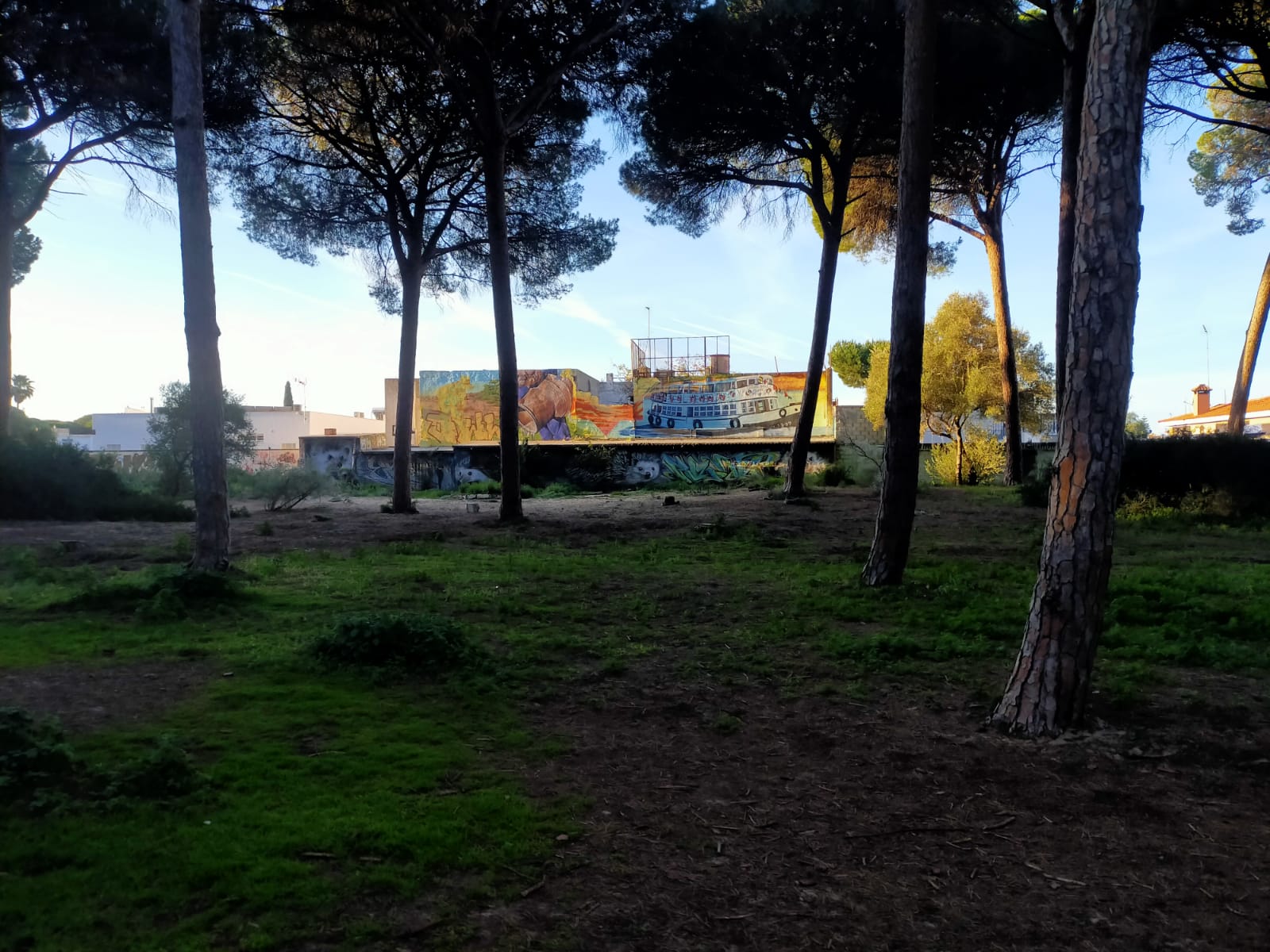 Mural dedicado al Vaporcito que Francisco Mesa está terminando en el pinar de Las Dunas, en El Puerto.  CEDIDA