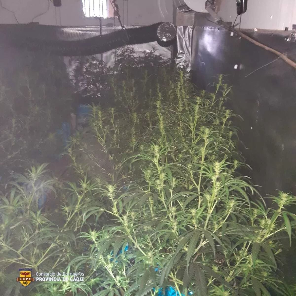 424599389 122138586368086353 5548871503838905487 n