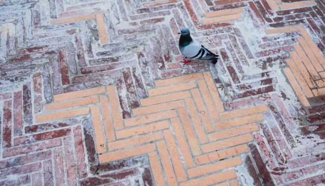 La 'chapuza' que han intentado hacer en la plaza de San Lorenzo.