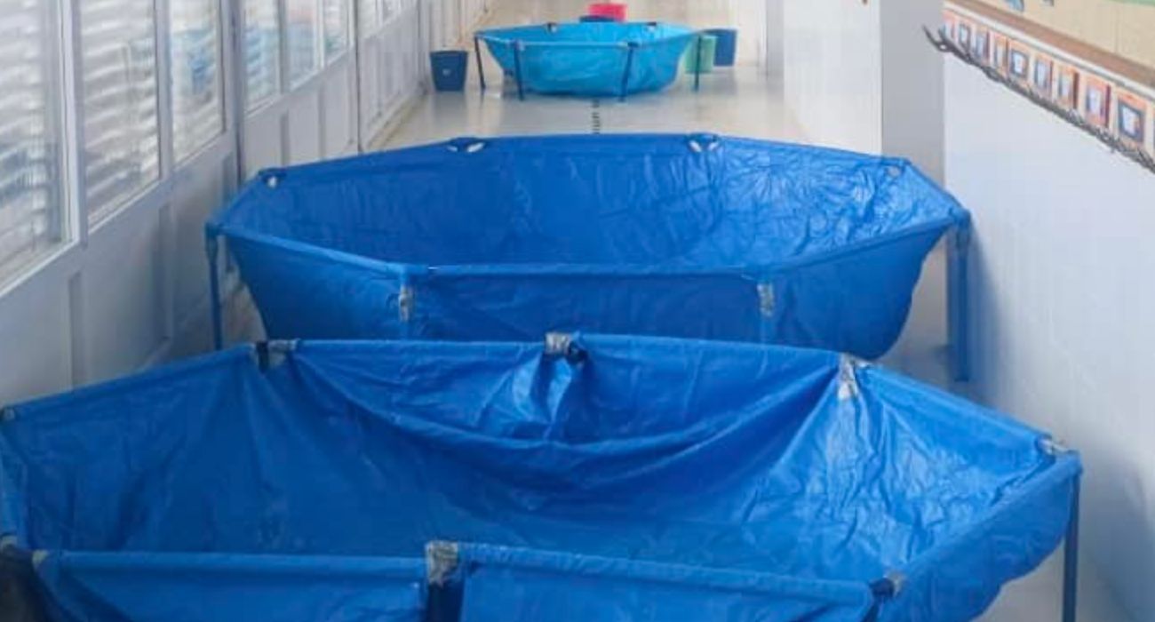 Varias piscinas, en el interior de una escuela infantil de Puerto Real.