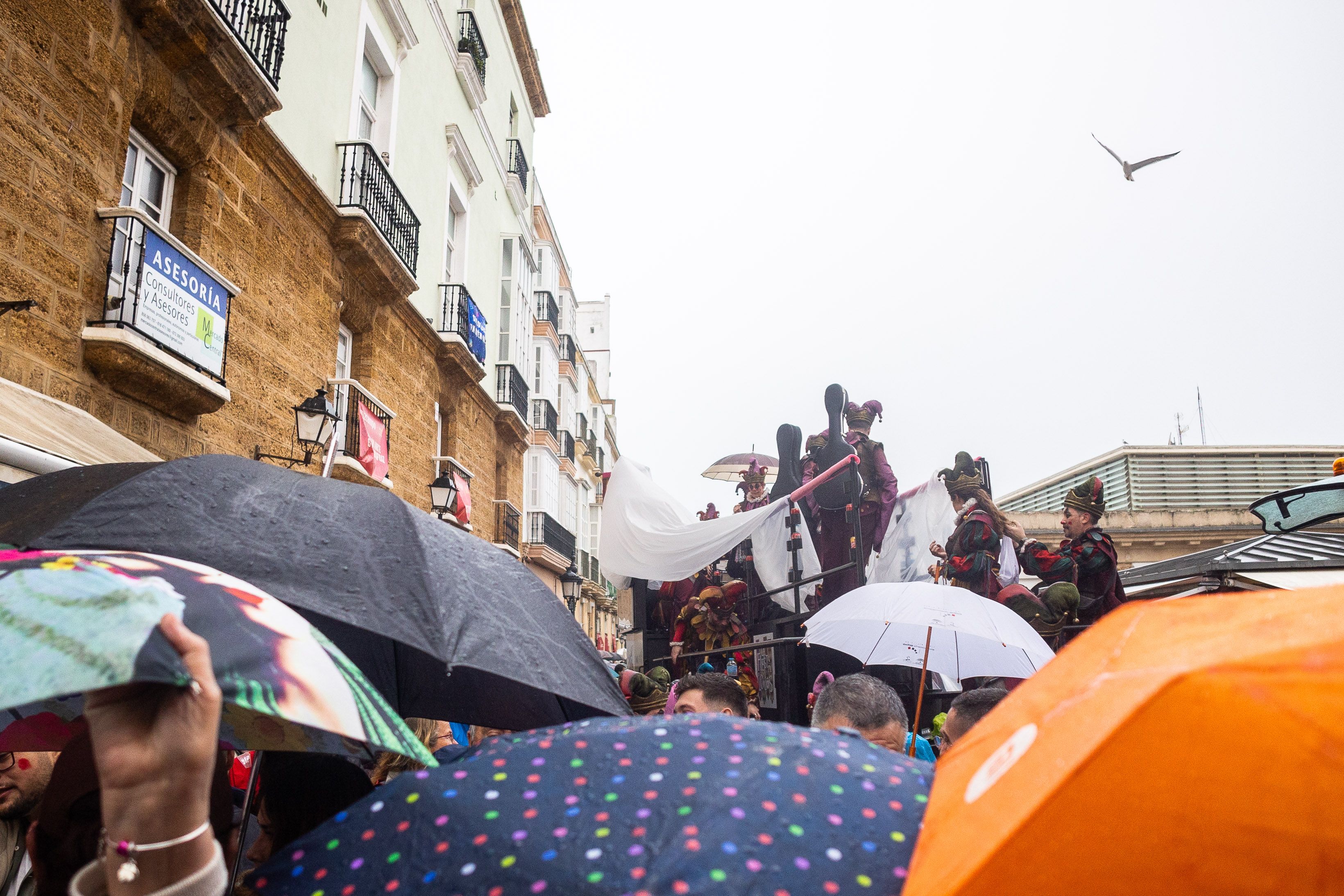 Una nube de paraguas ante la batea de un coro en Libertad con plaza Topete.