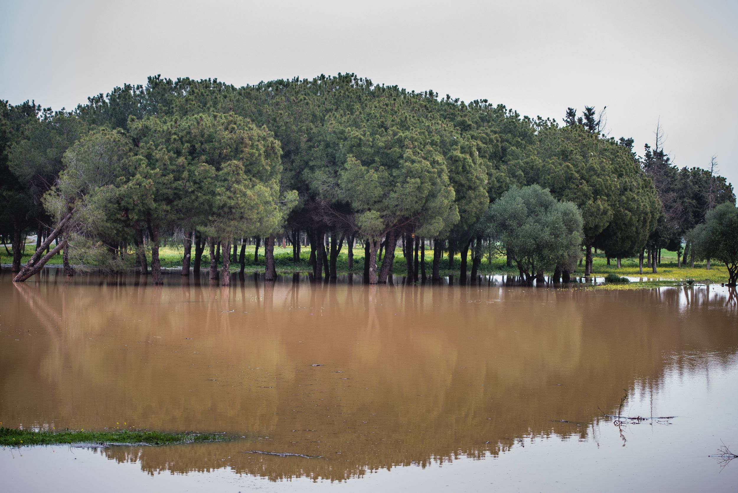 Imágenes de la Laguna del Sapo, en Sevilla Este, tras las lluvias.
