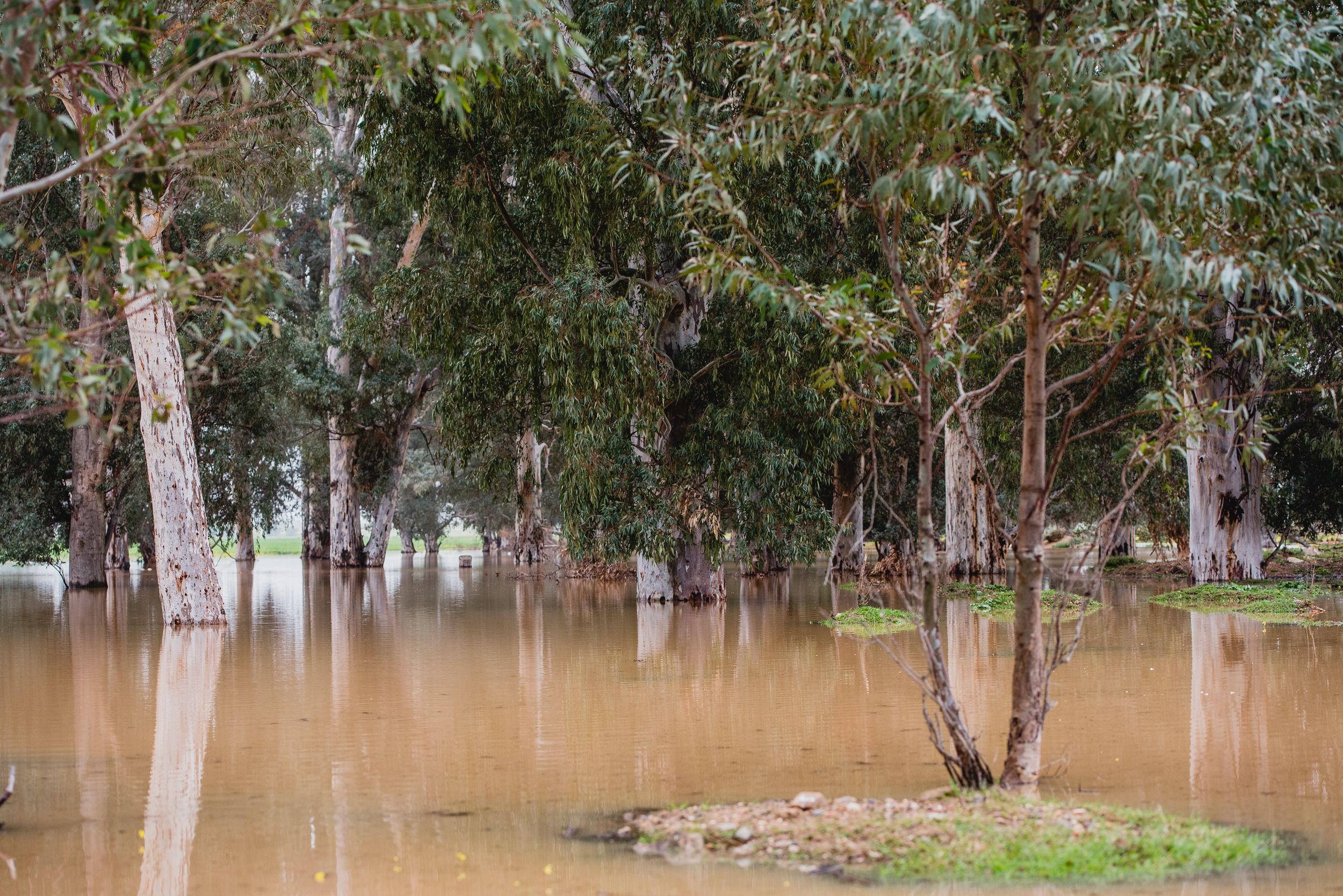 Imágenes de la Laguna del Sapo, en Sevilla Este, tras las lluvias.