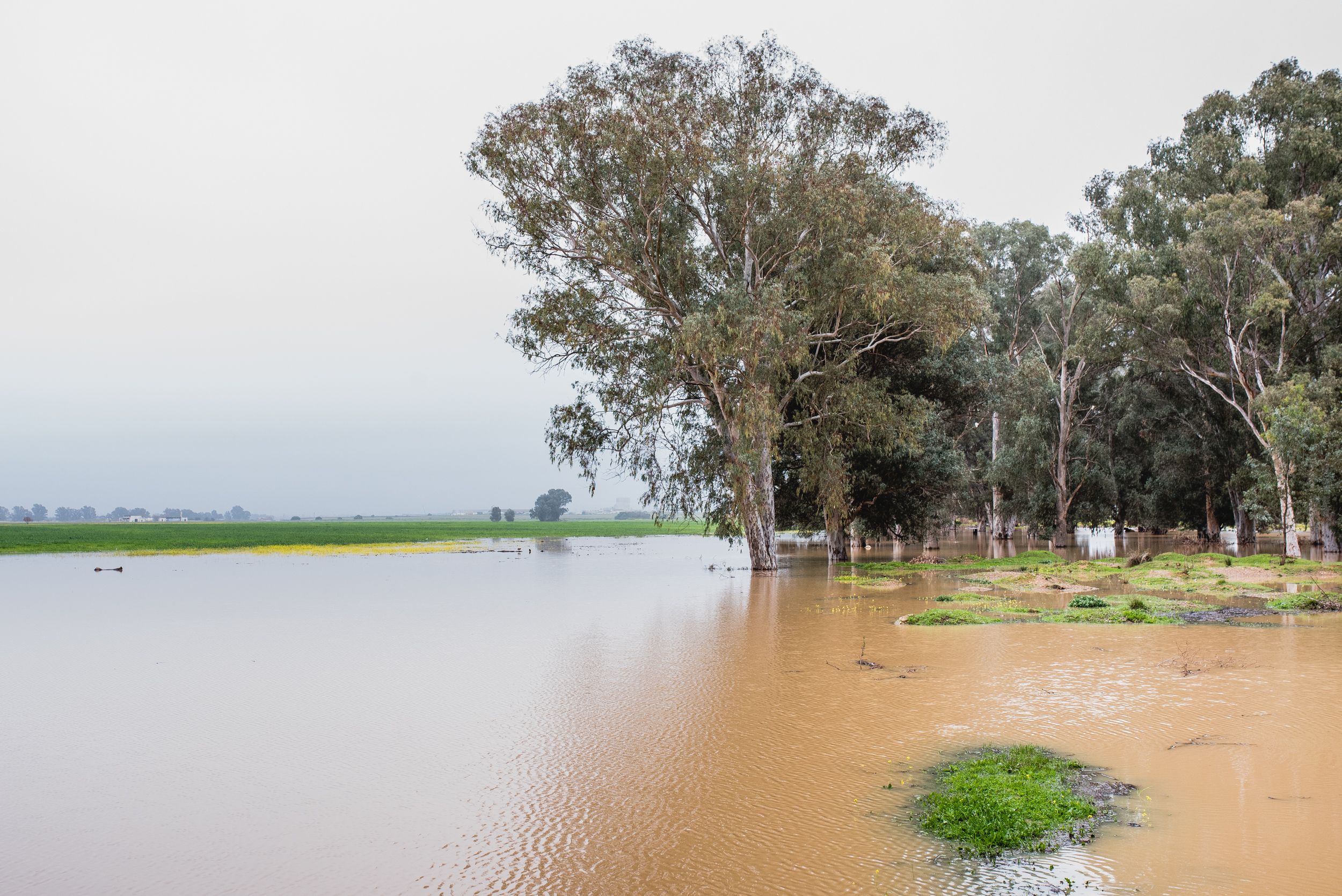Imágenes de la Laguna del Sapo, en Sevilla Este, tras las lluvias.