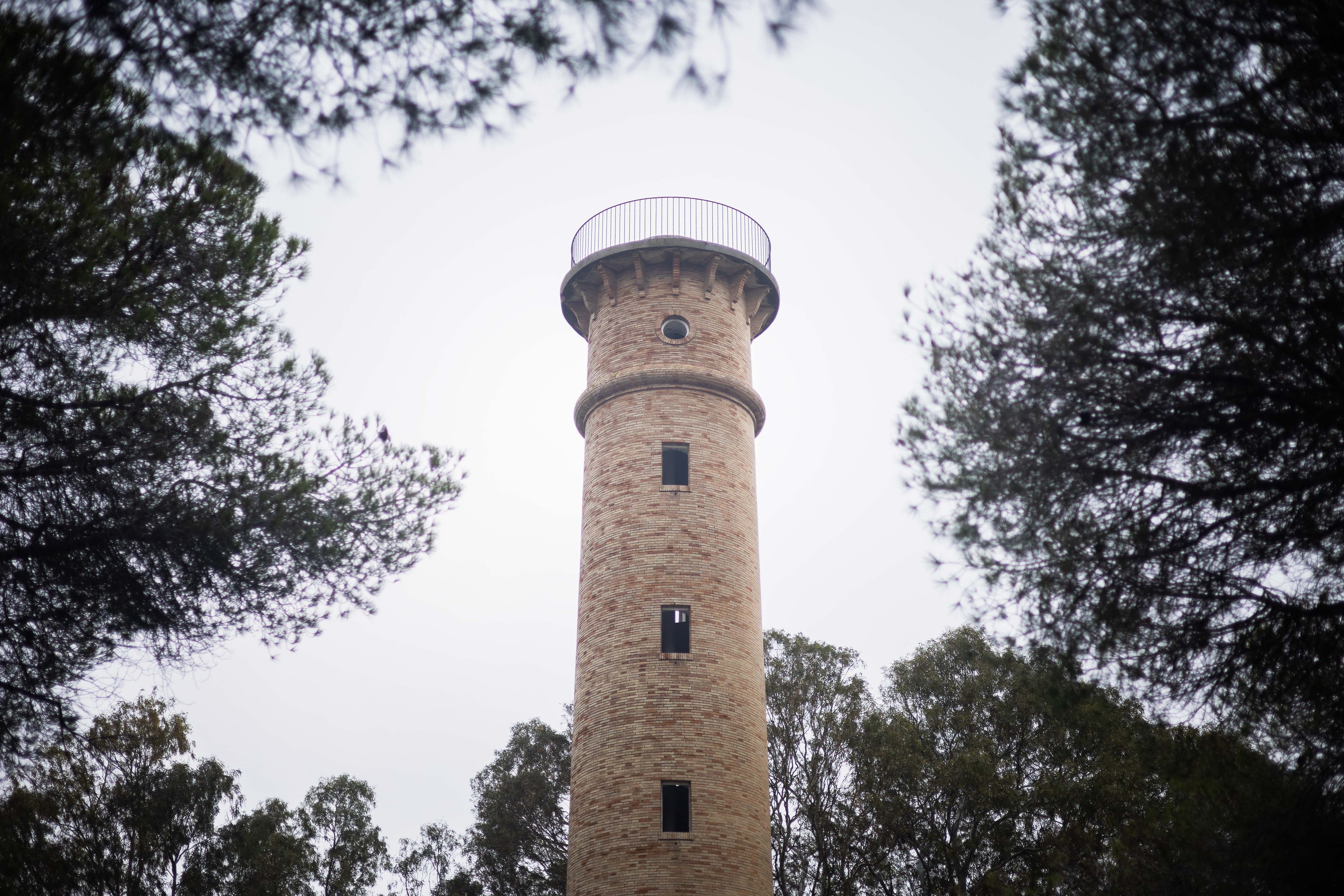 Detalle de la torre que queda en pie en el pinar.