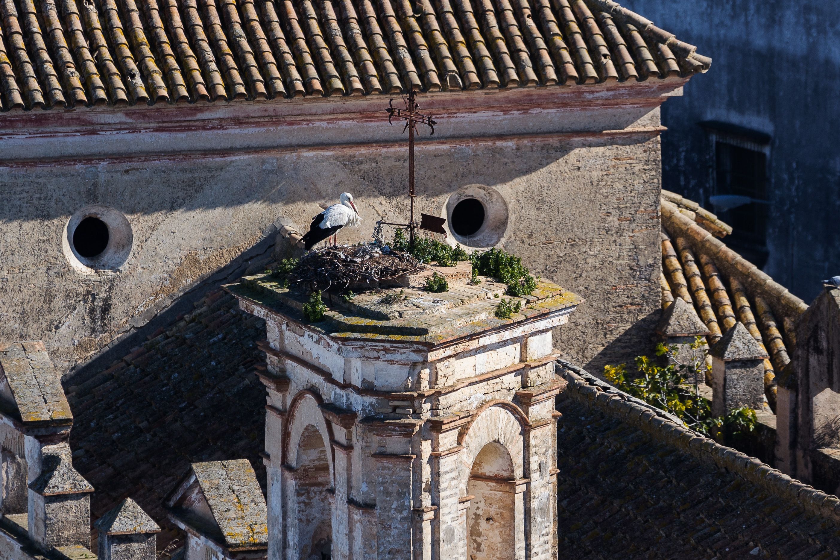 El castillo de Santiago en Sanlúcar por dentro