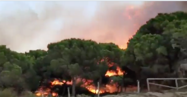 Un momento del incendio en Los Caños, en una imagen del Infoca.