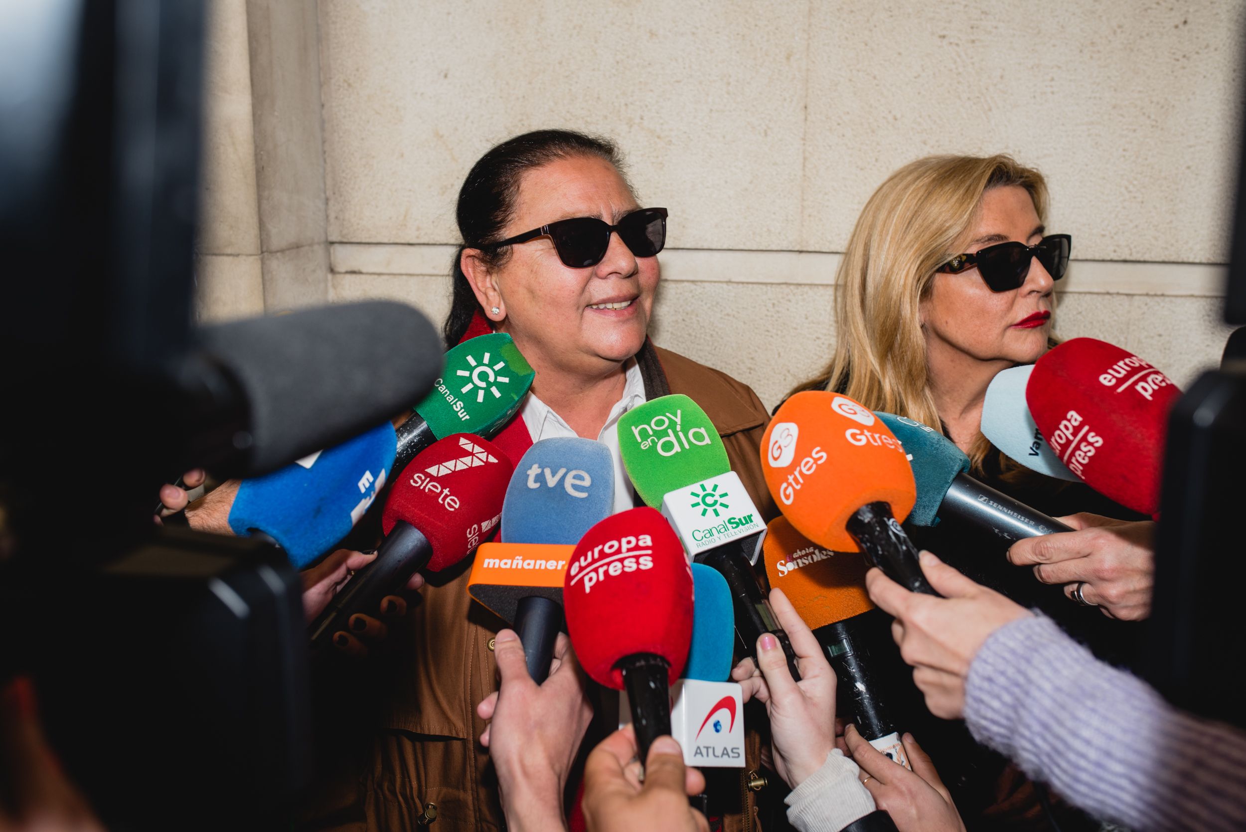 MARIA DEL MONTE JUZGADOS SEVILLA 11