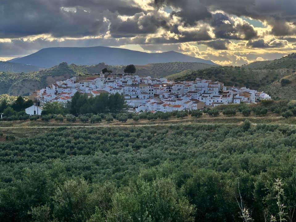 Vistas de Torre Alháquime desde un olivar cercano FOTO: Noelia Ruiz