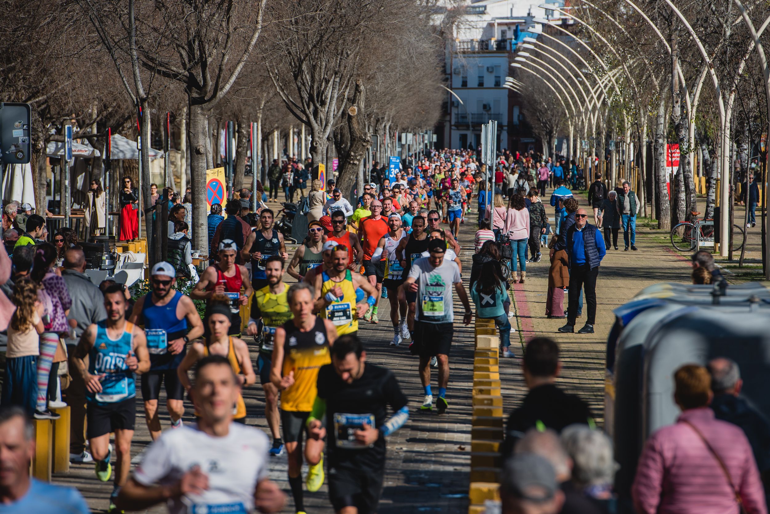 Participantes en la edición de 2024 de la Zurich Maratón en pleno corazón de Sevilla.