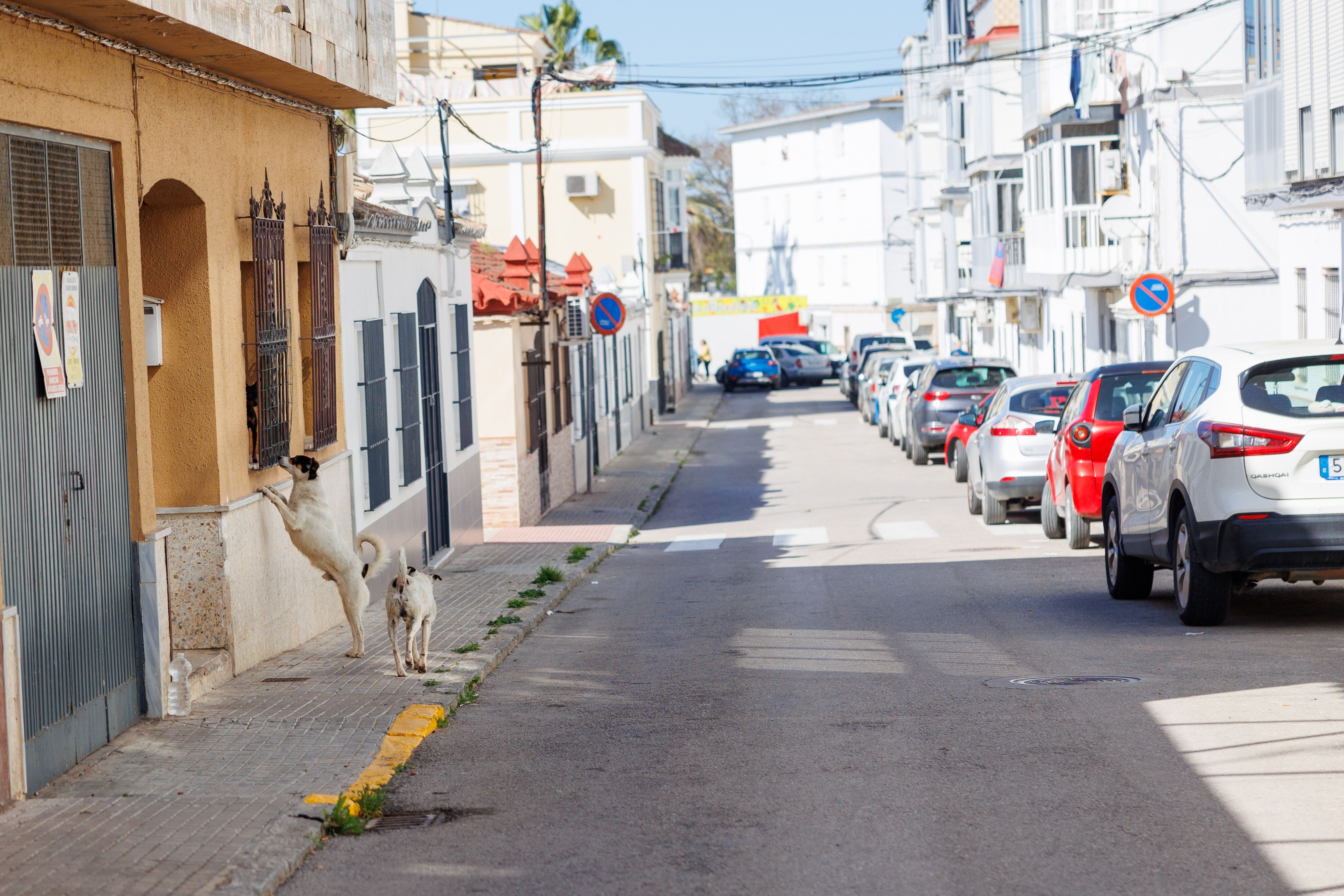 Calle en la que tuvo lugar el secuestro en Sanlúcar. La Policía busca a los secuestradores.
