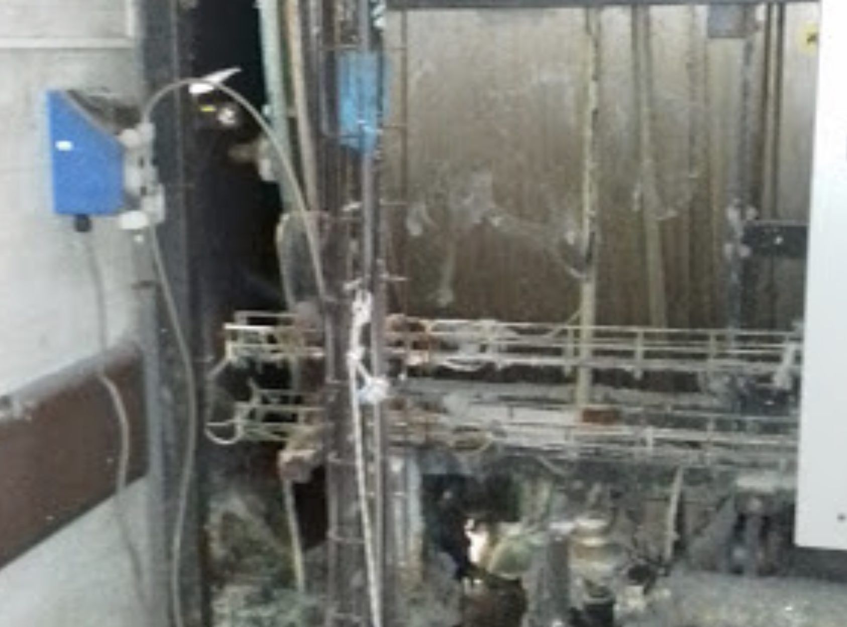 El túnel de lavado de la lavandería del Puerta del Mar en Cádiz.